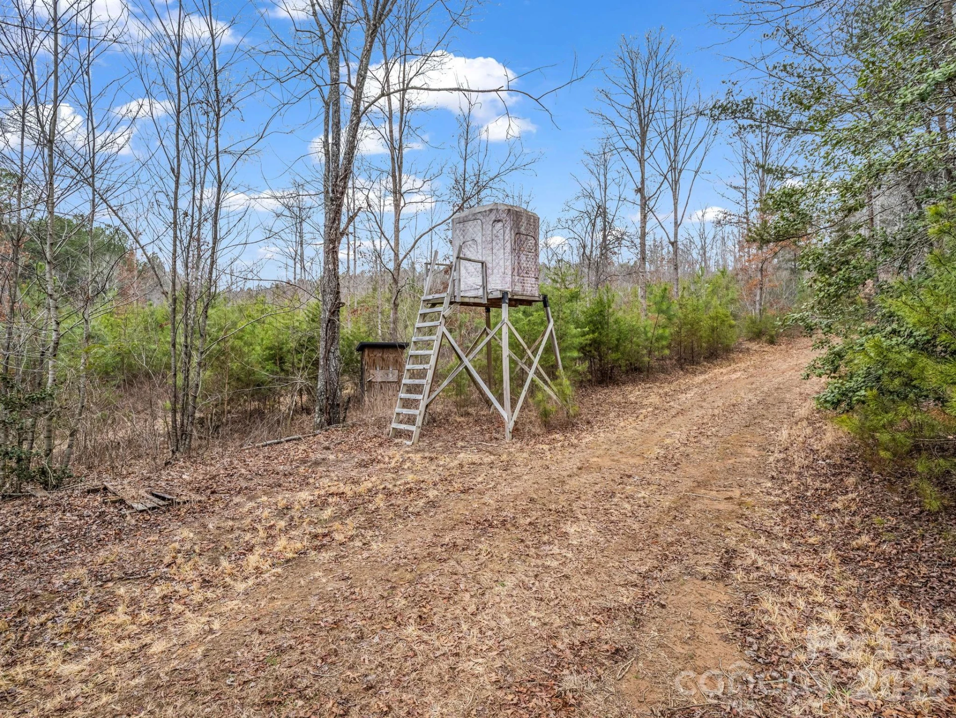 0 River Road - Photo 8
