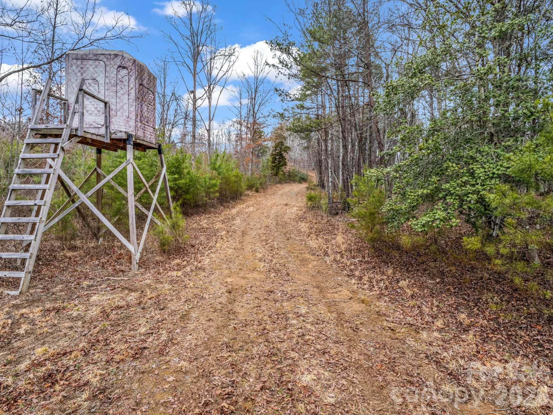 0 River Road - Photo 9