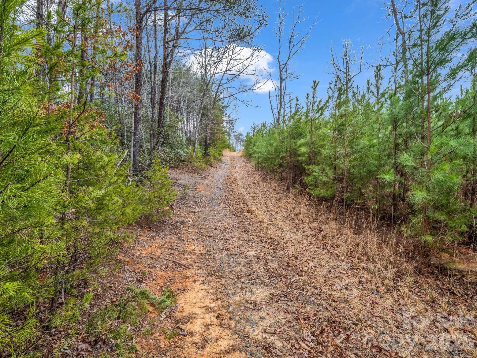 0 River Road - Photo 10