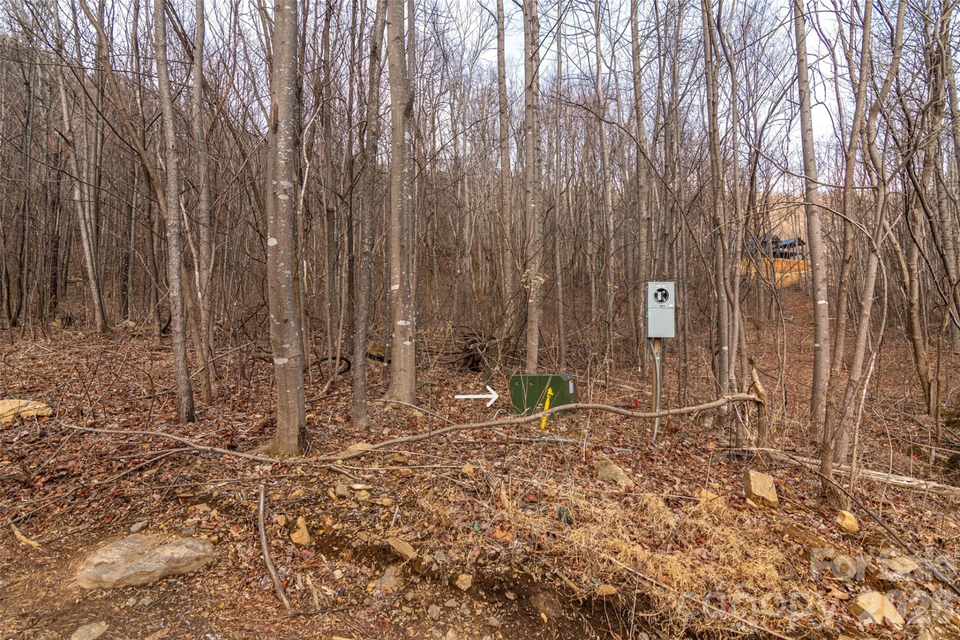 630 Spring Cove Lane - Photo 3