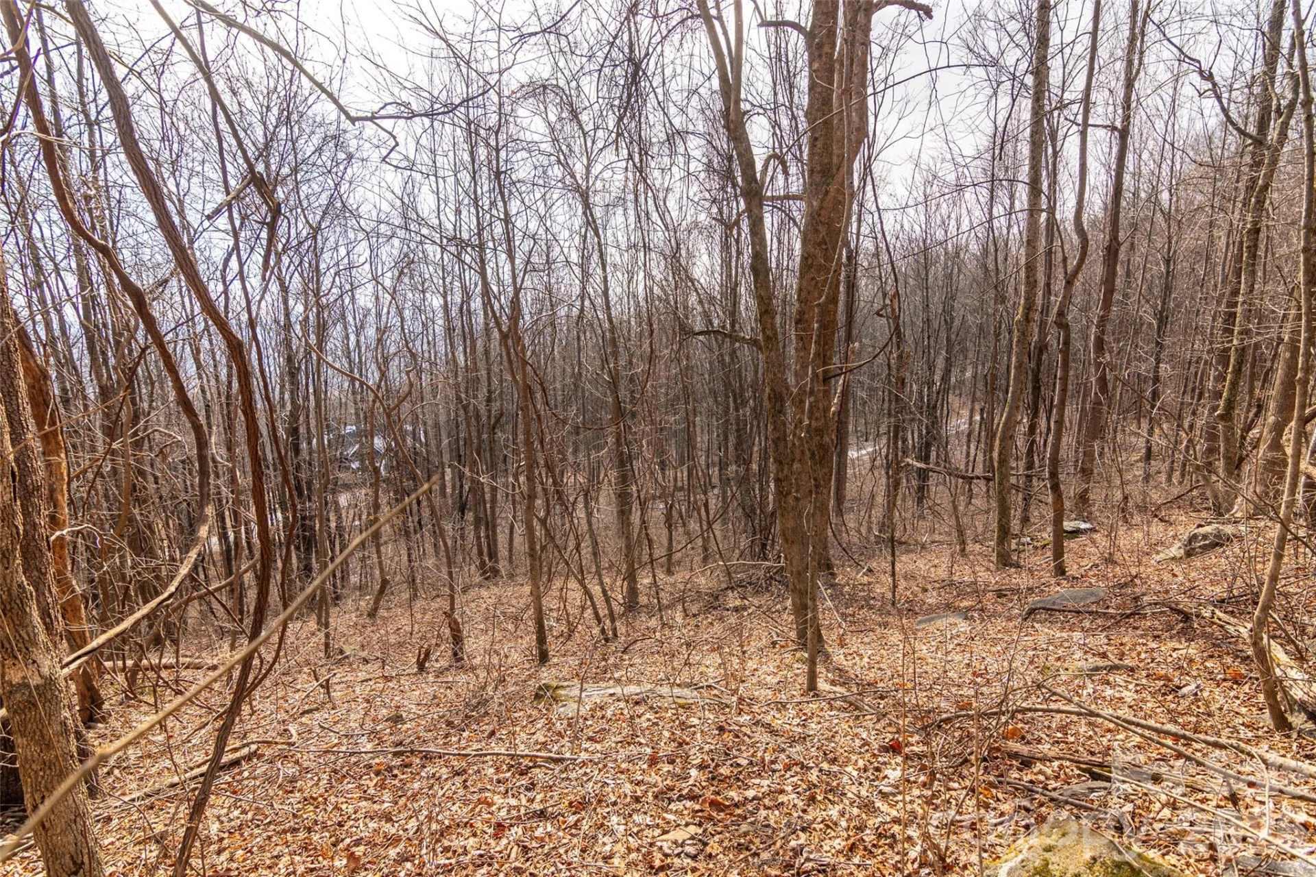 630 Spring Cove Lane - Photo 11