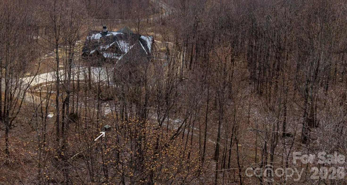 630 Spring Cove Lane - Photo 4