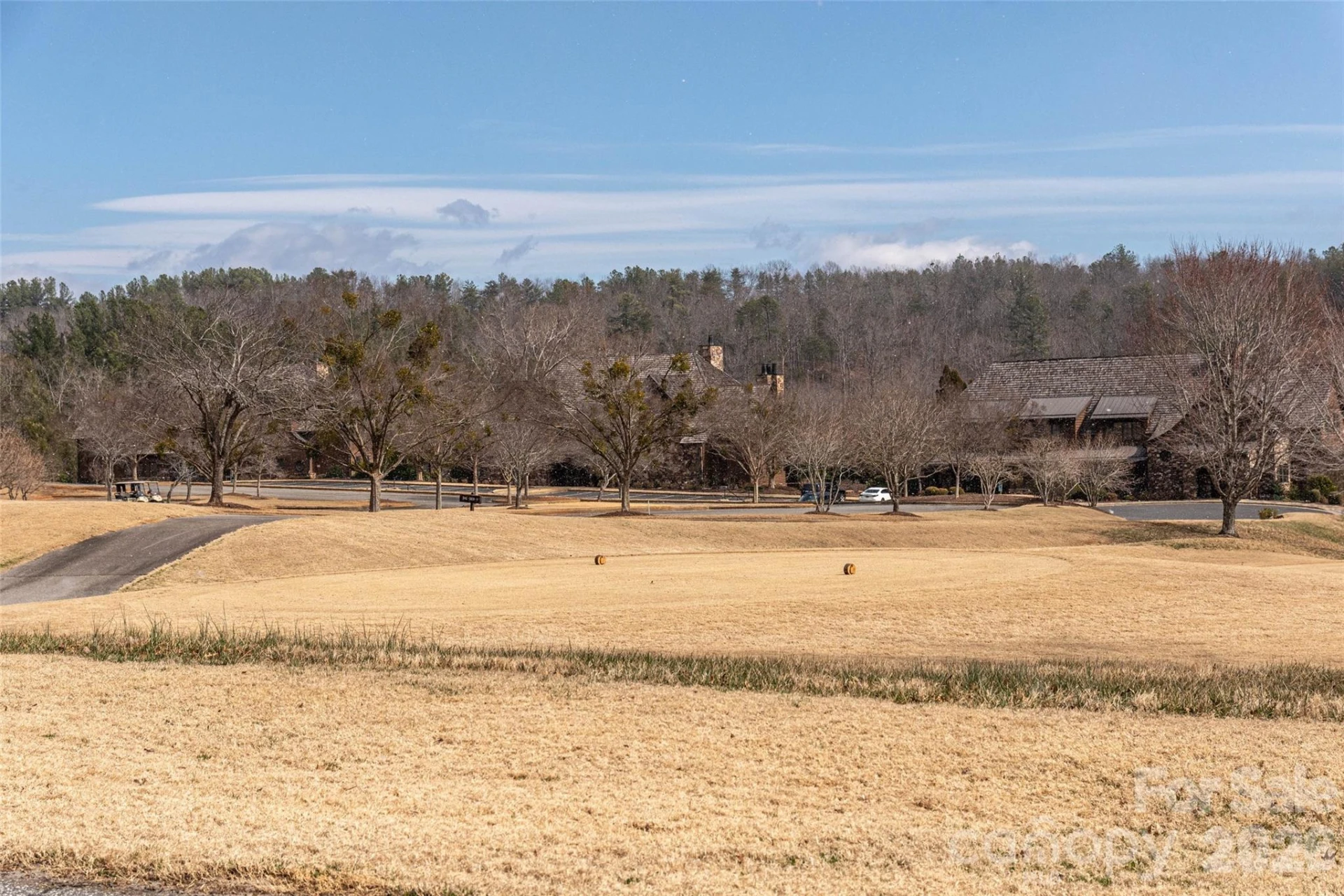 630 Spring Cove Lane - Photo 29