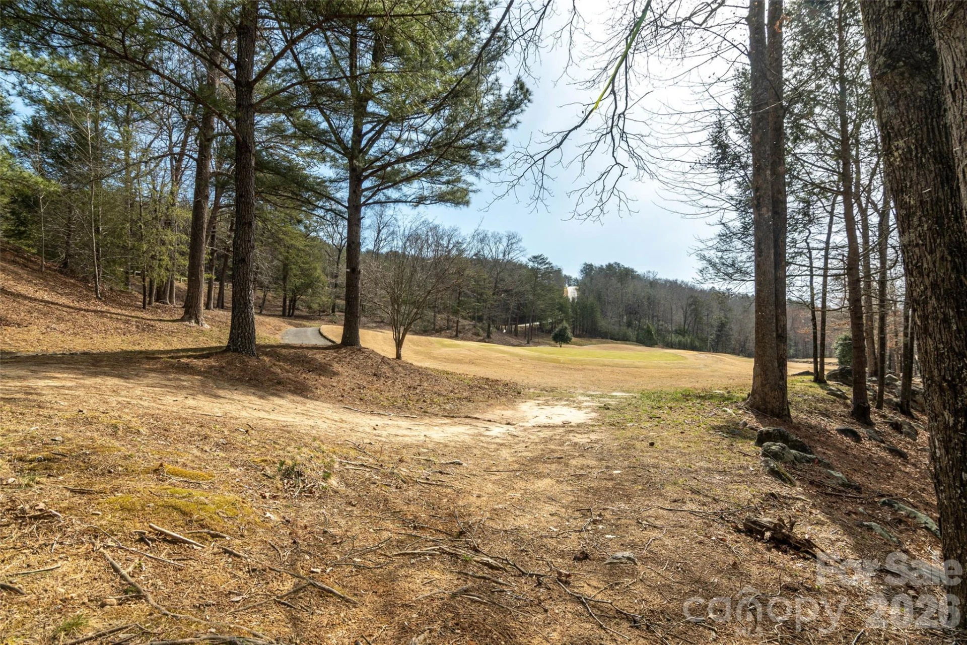 630 Spring Cove Lane - Photo 36