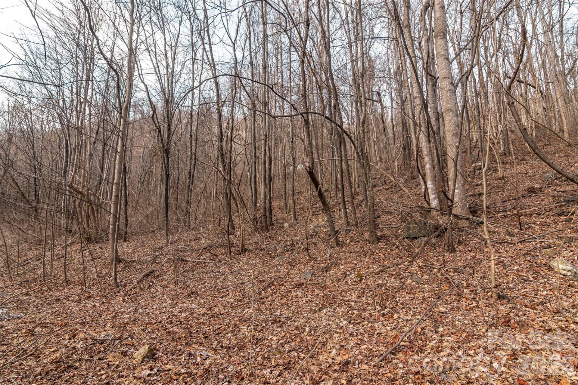 630 Spring Cove Lane - Photo 10