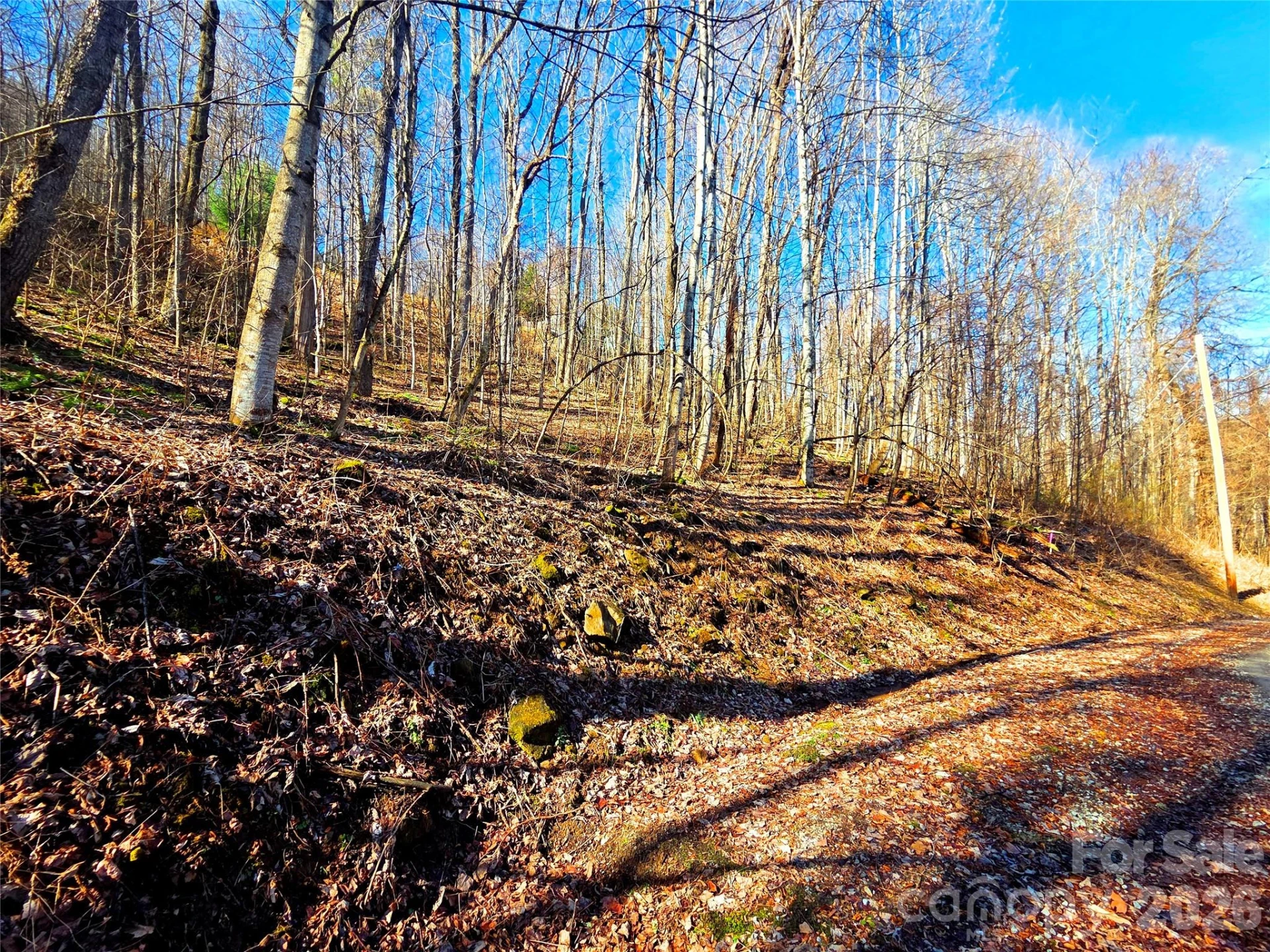 160 Slippery Rock Road #206 - Photo 12