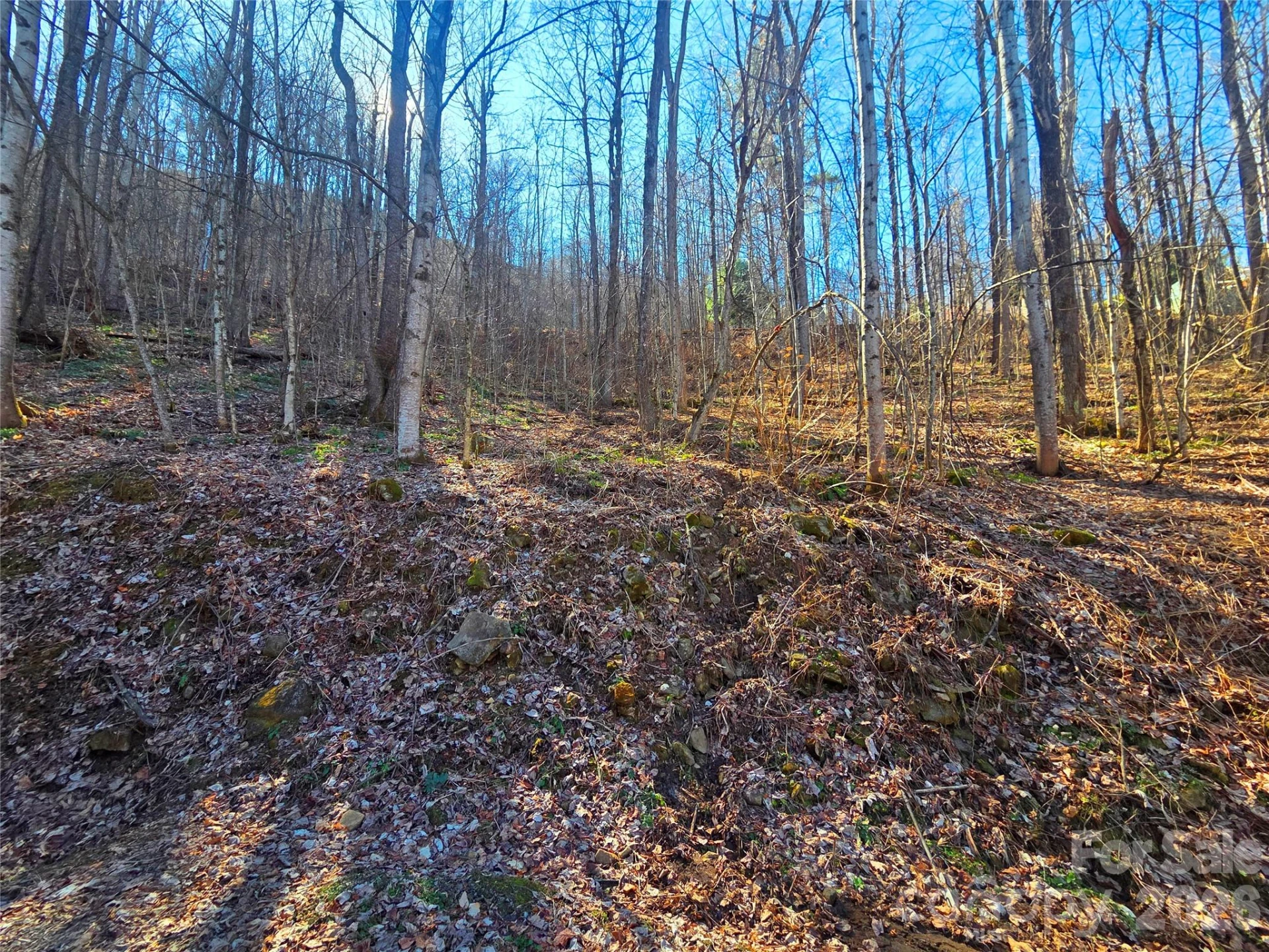 160 Slippery Rock Road #206 - Photo 16