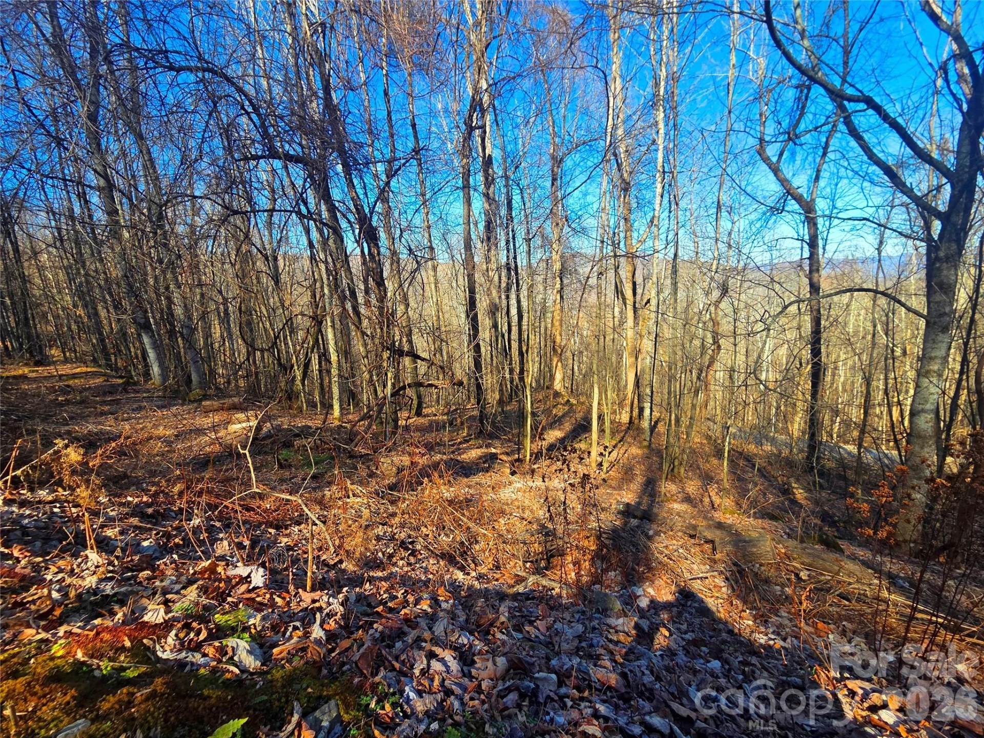 160 Slippery Rock Road #206 - Photo 8