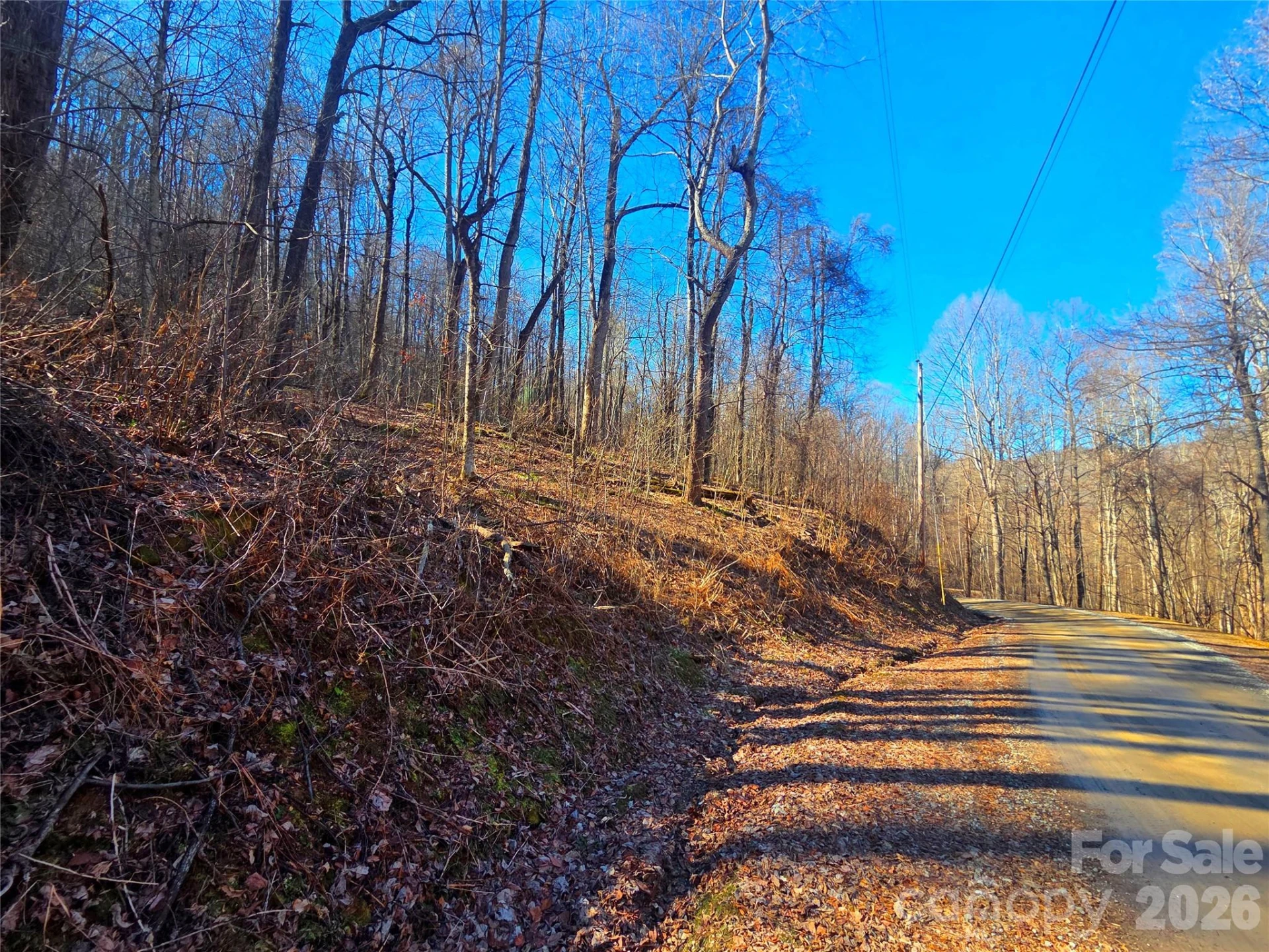 160 Slippery Rock Road #206 - Photo 2