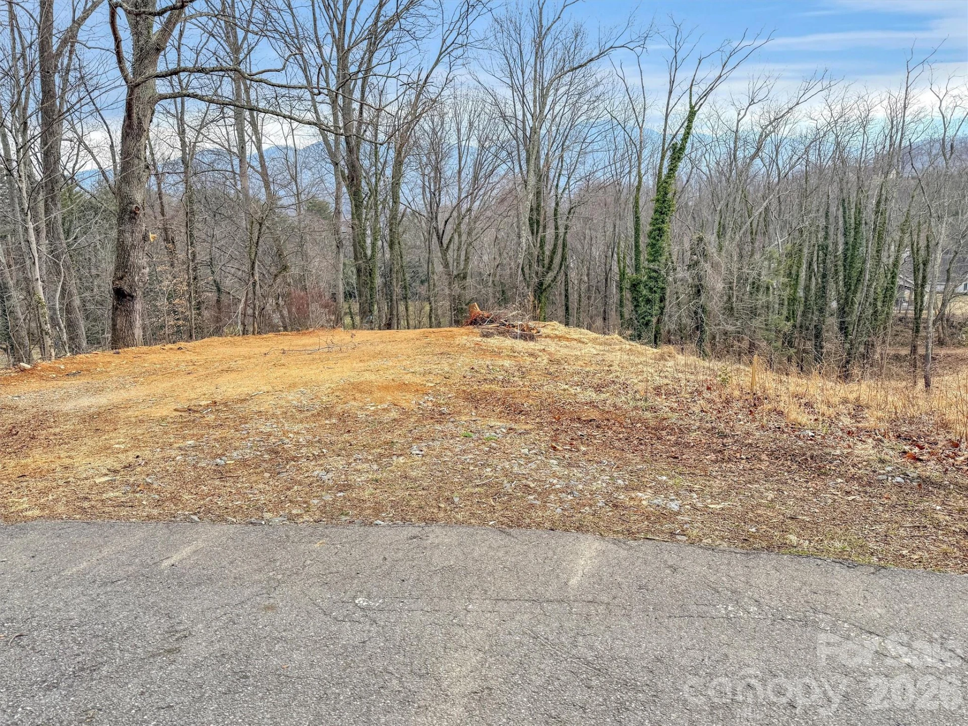 000 Cupp Lane - Photo 4