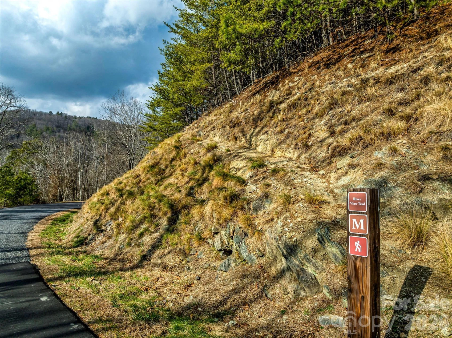 75 Wild Turkey Loop #31 - Photo 35