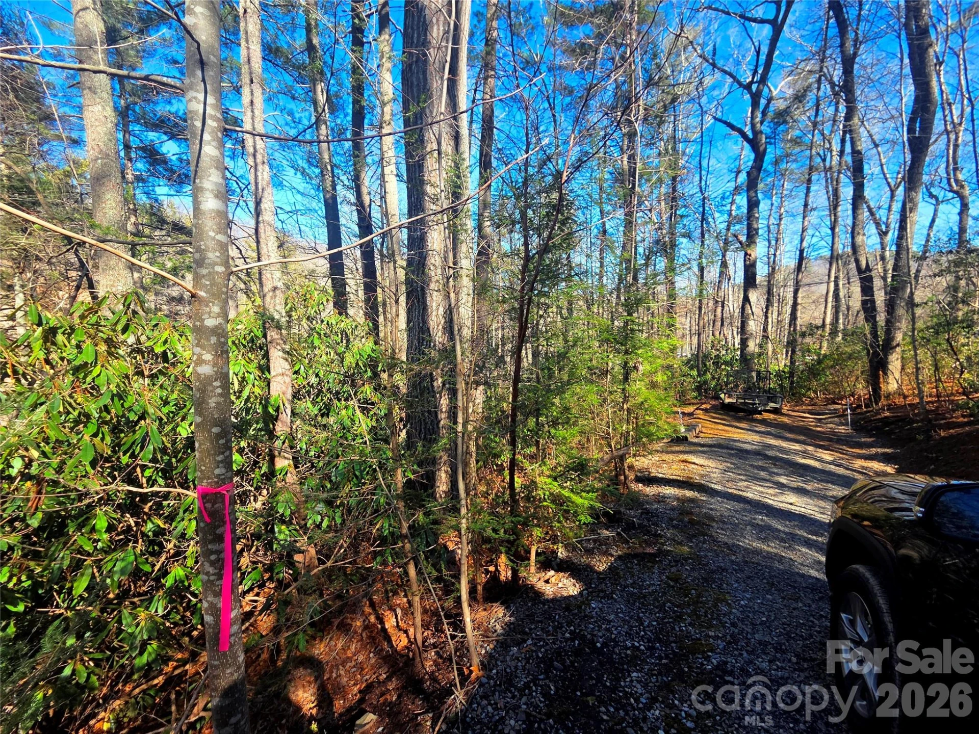 230 Serendipity Lane #105 - Photo 11