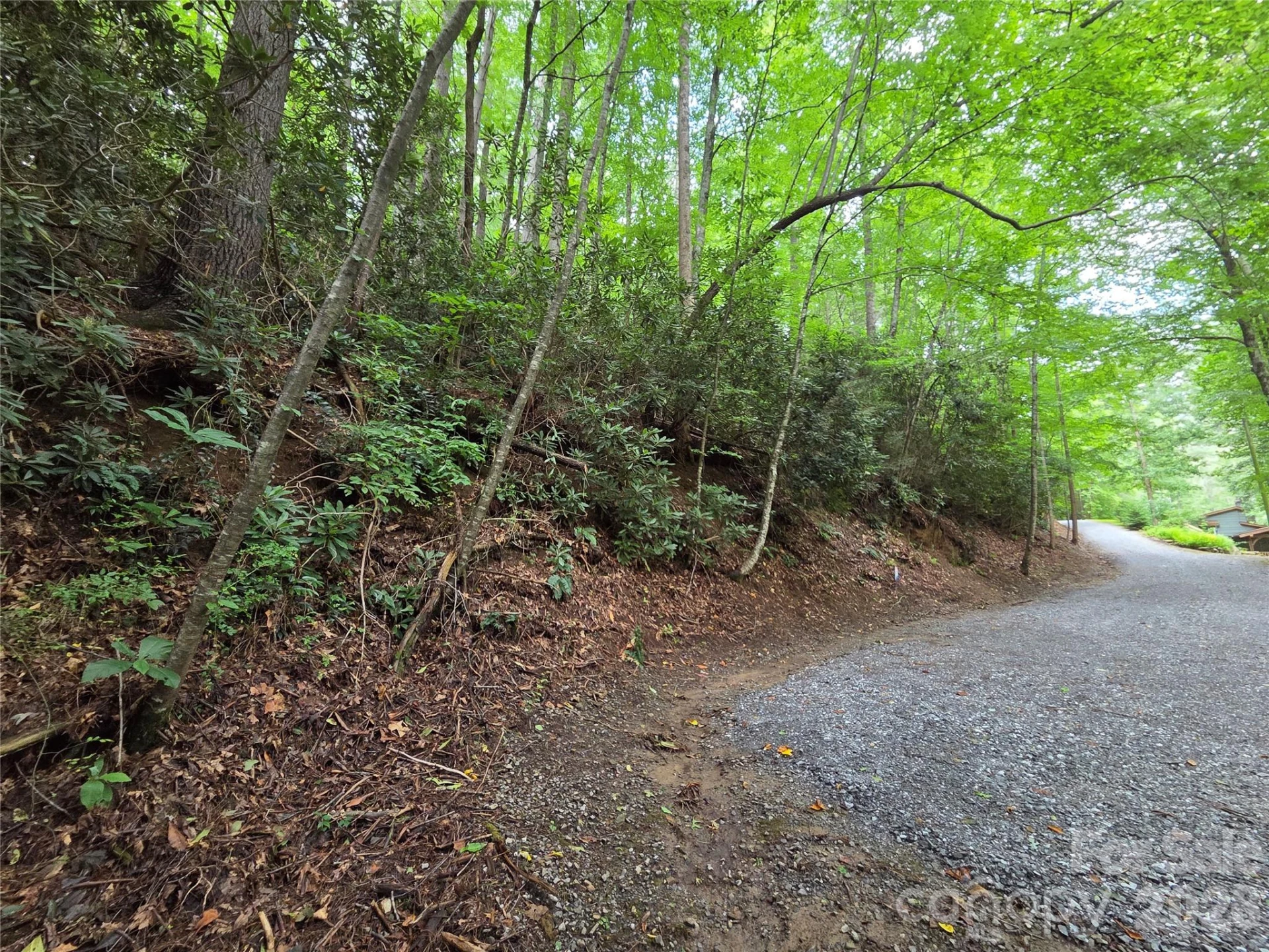 230 Serendipity Lane #105 - Photo 2