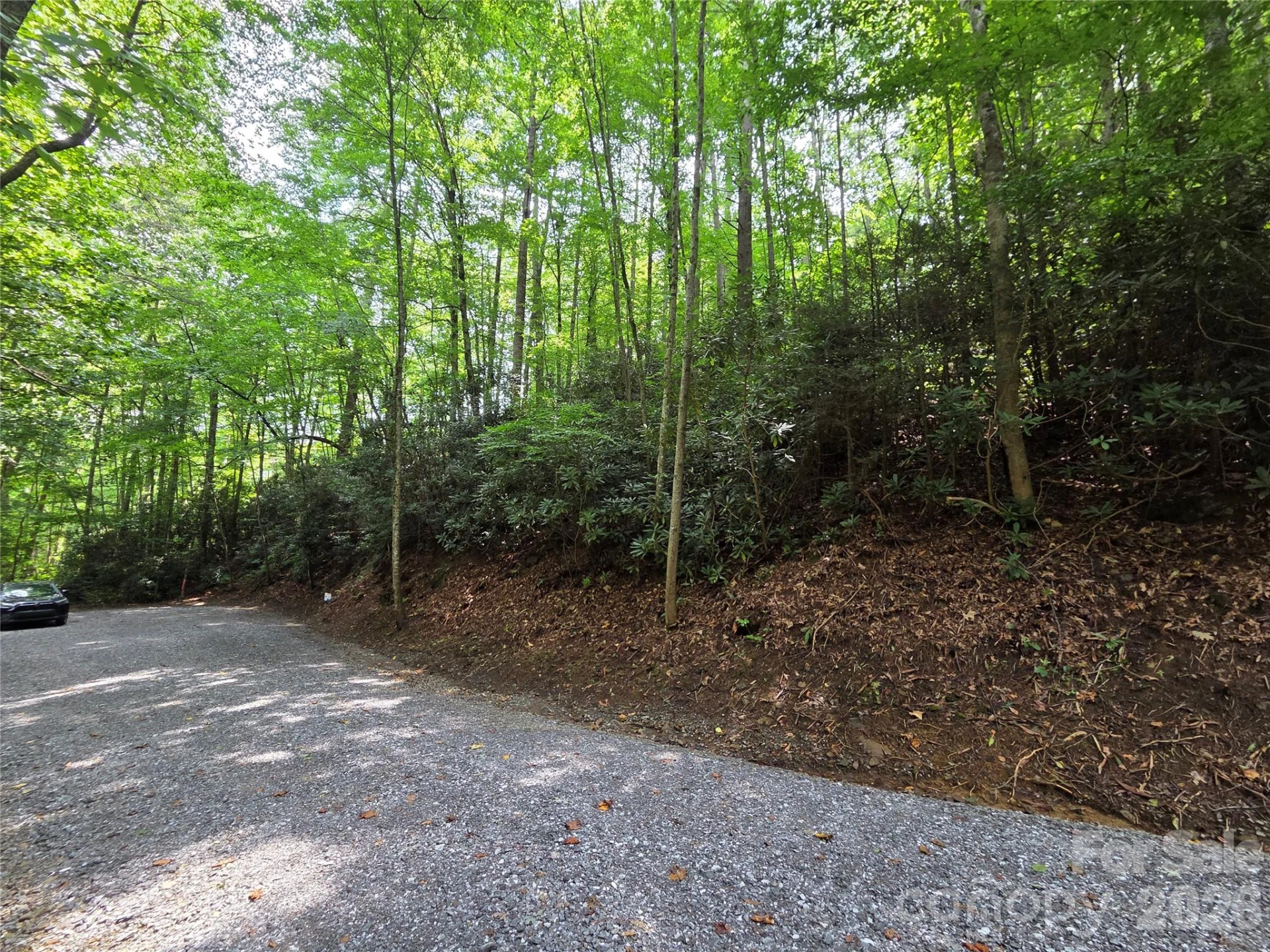 230 Serendipity Lane #105 - Photo 4