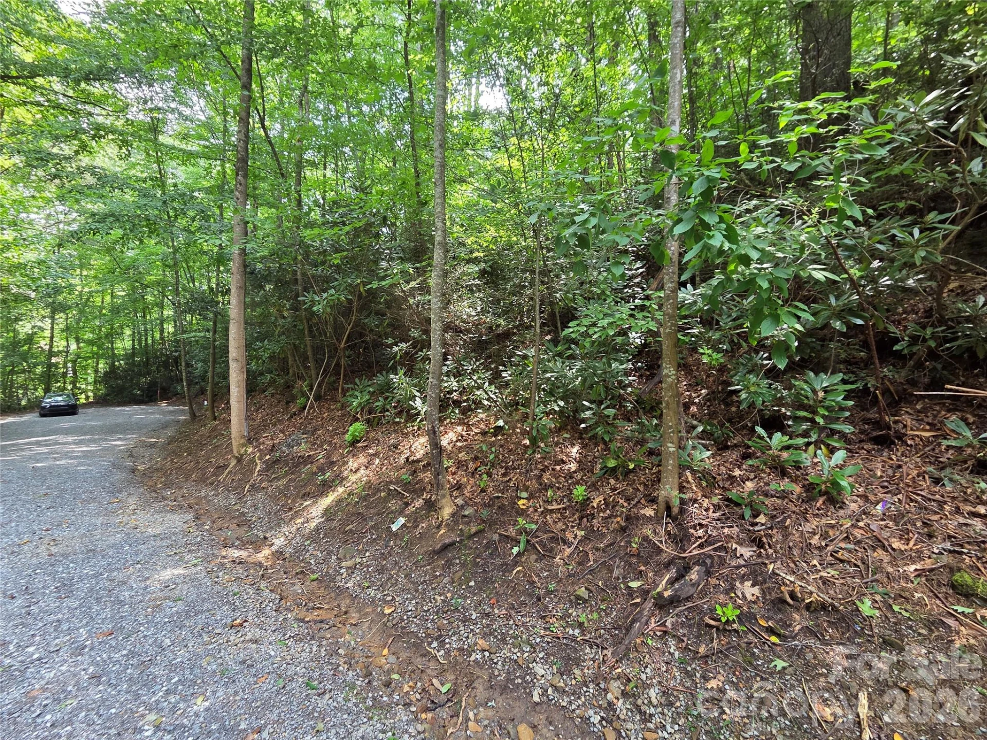 230 Serendipity Lane #105 - Photo 5