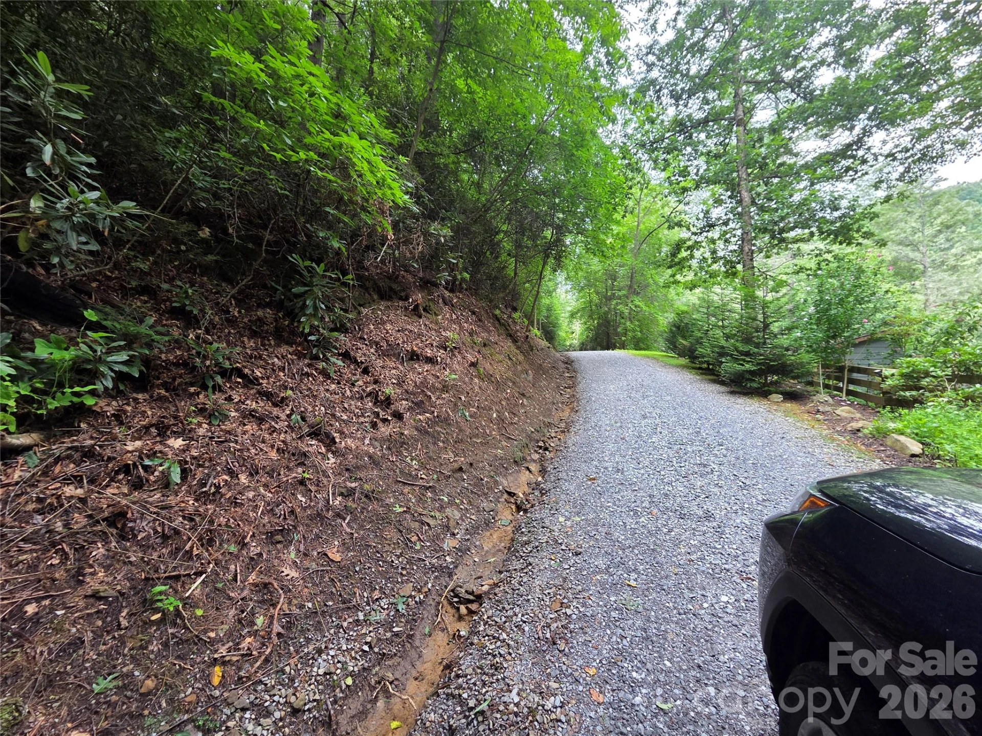 230 Serendipity Lane #105 - Photo 8
