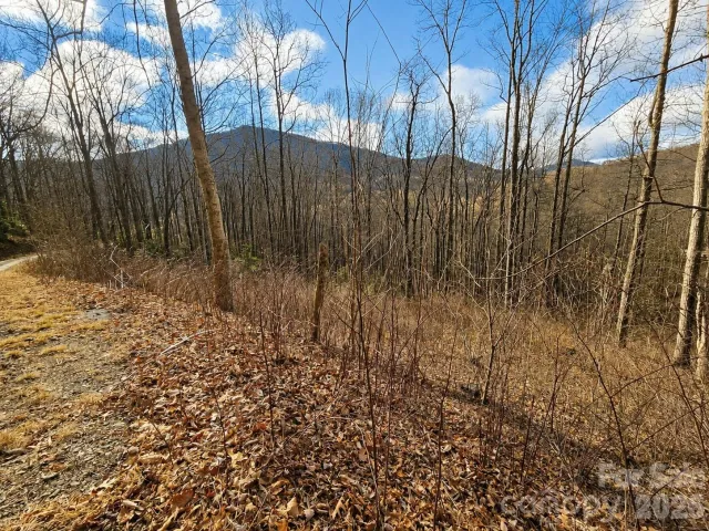 900 Fern Trail