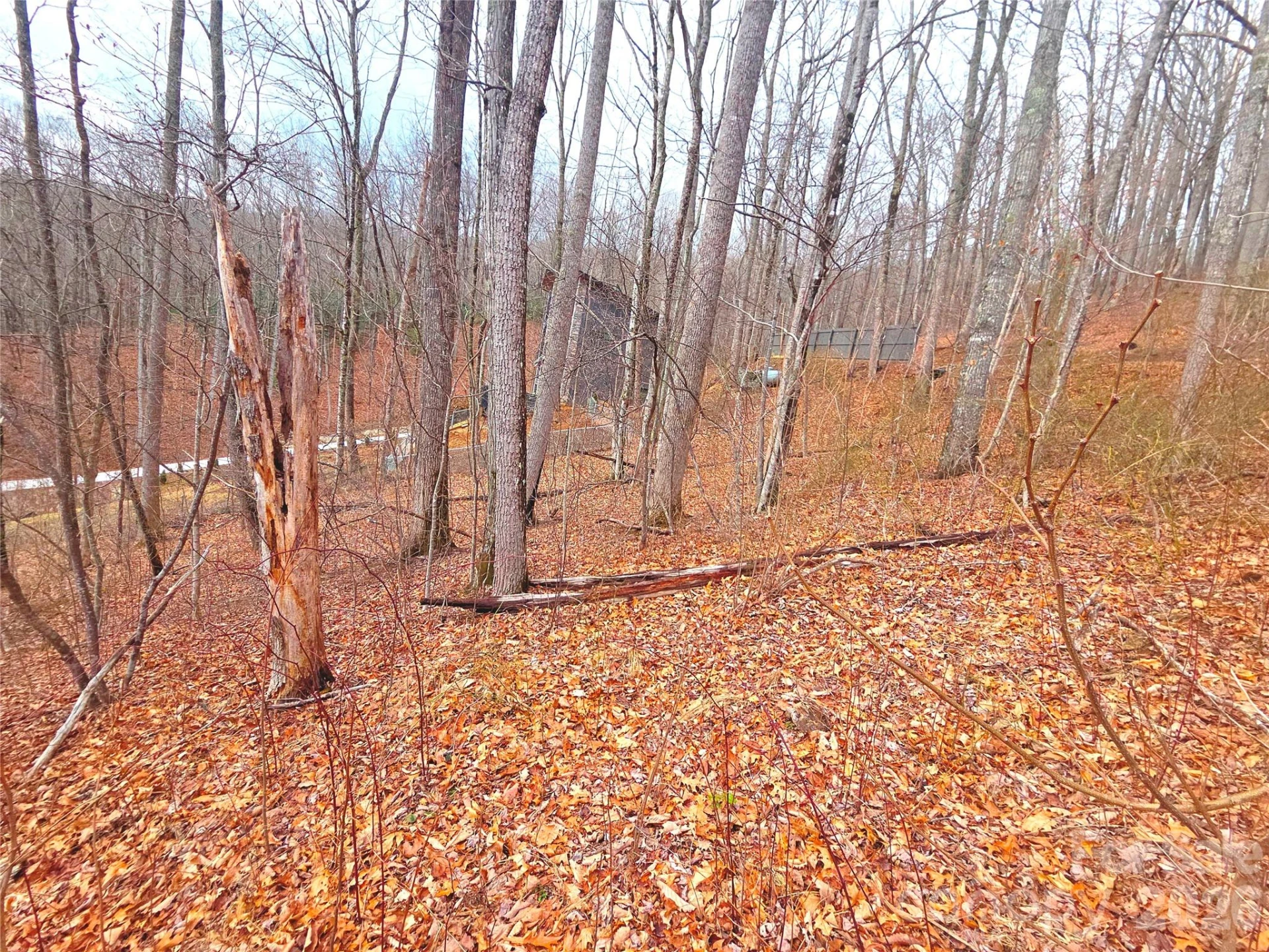 900 Fern Trail #31 - Photo 14