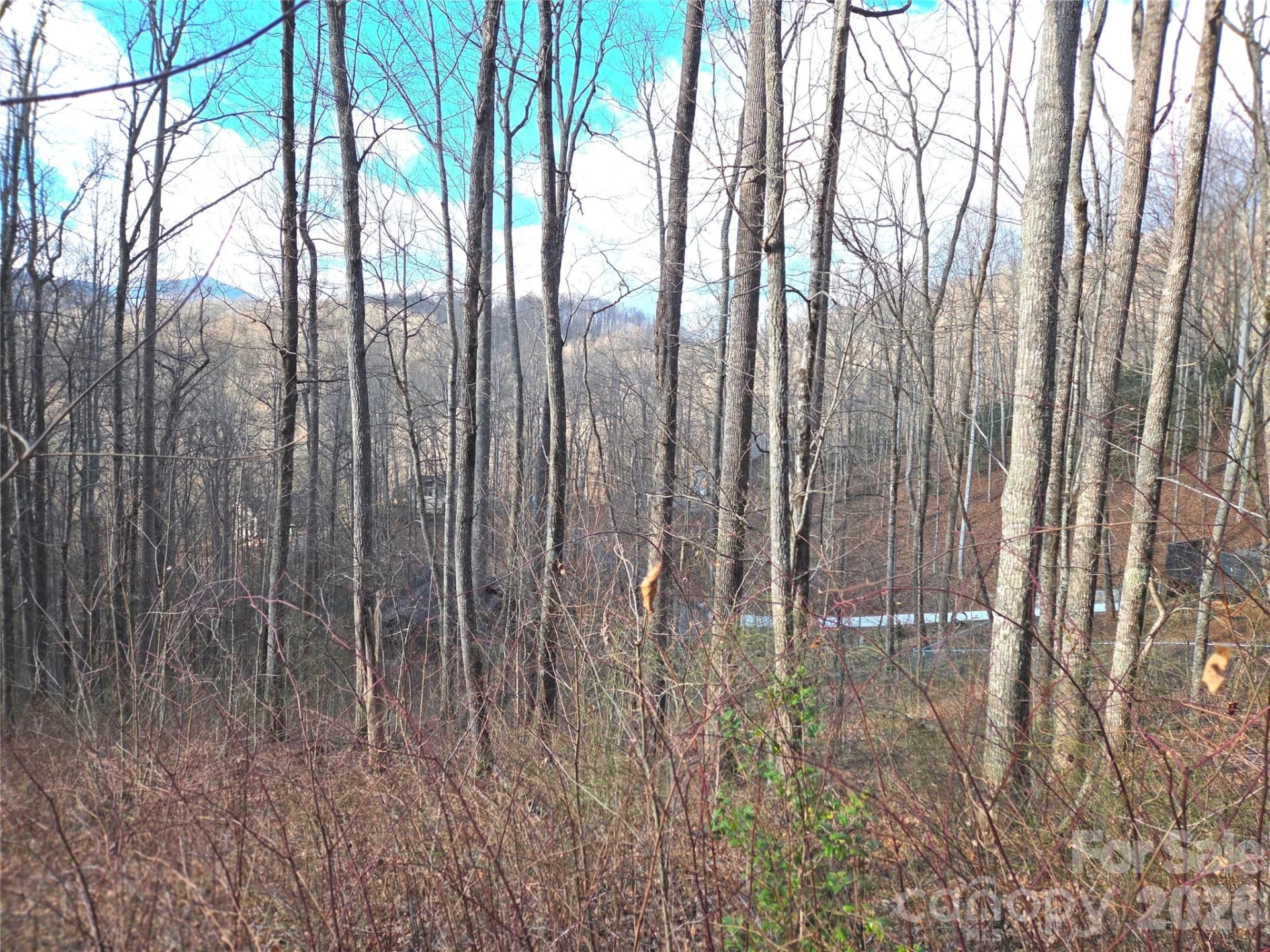 900 Fern Trail #31 - Photo 15