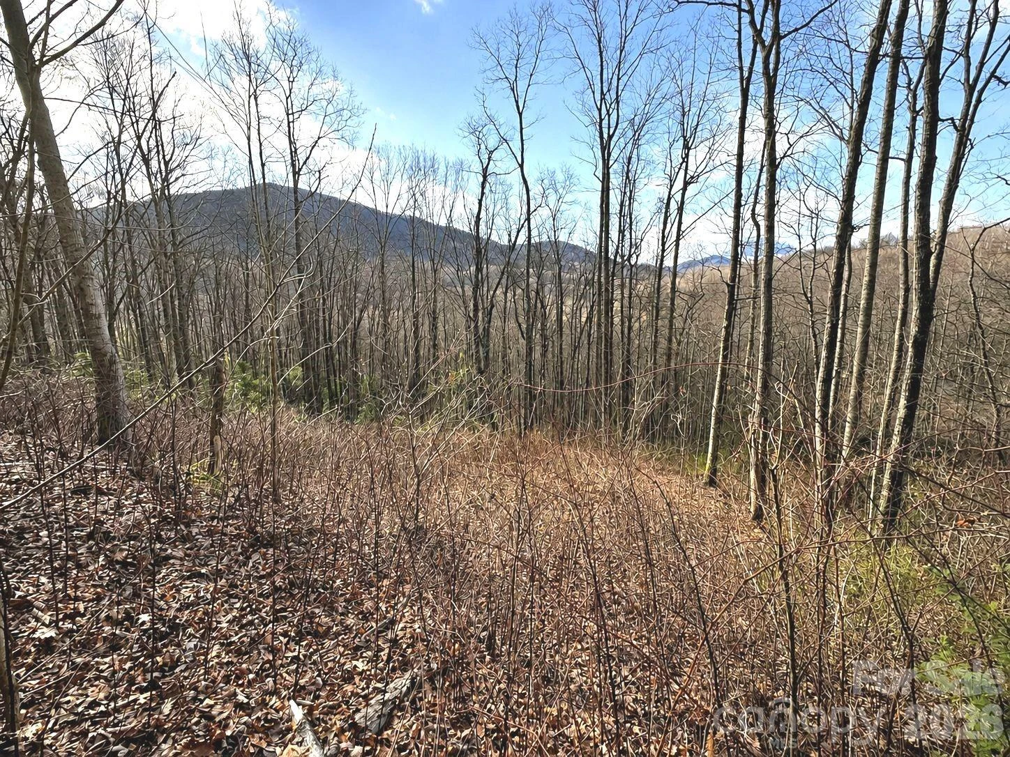 900 Fern Trail #31 - Photo 3