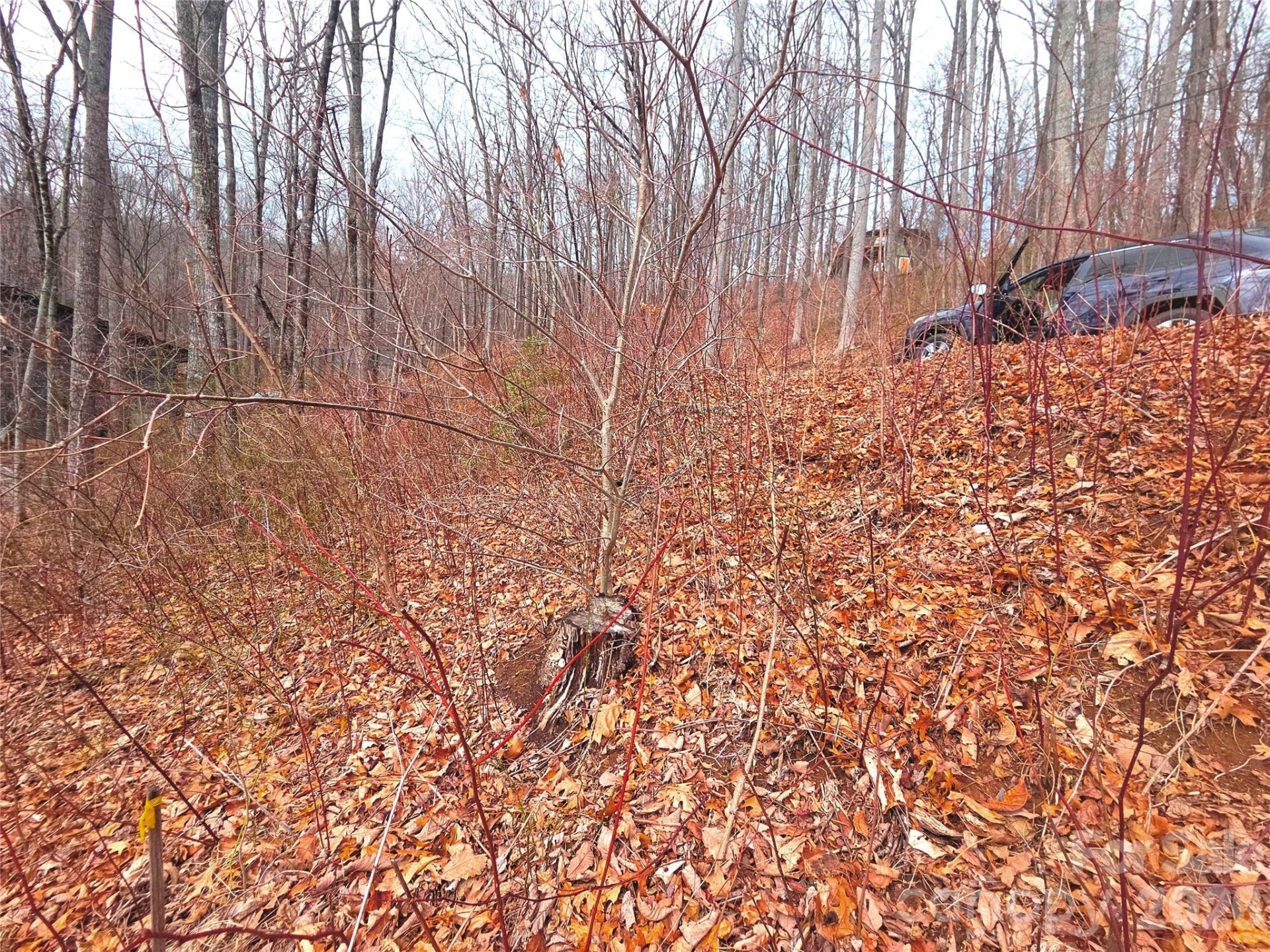 900 Fern Trail #31 - Photo 8