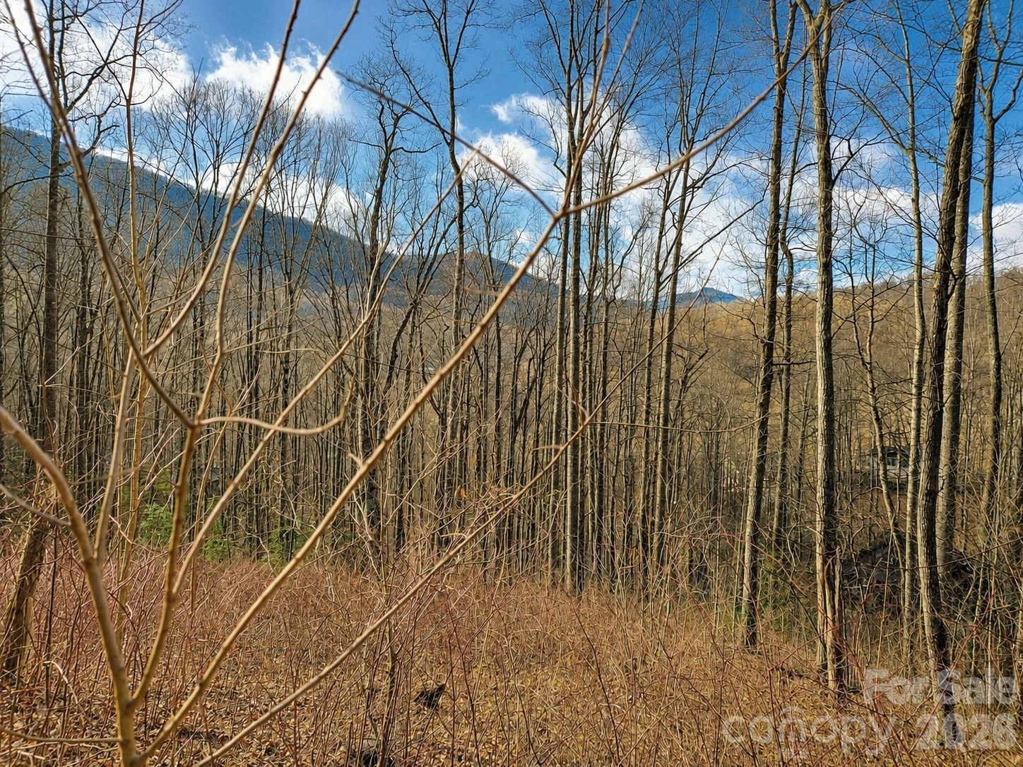 900 Fern Trail #31 - Photo 9