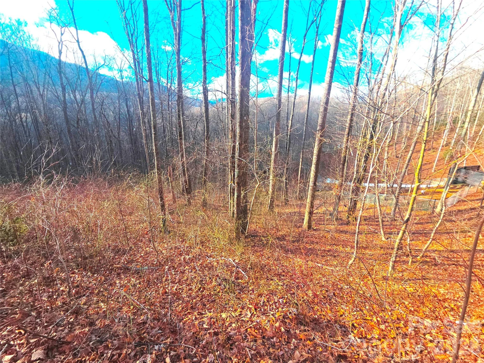 900 Fern Trail #31 - Photo 10