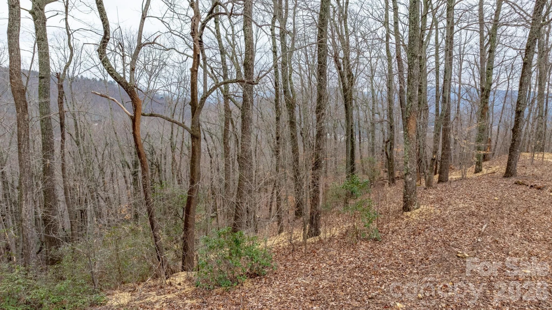 0 Mountain Crest Drive S #40 - Photo 11
