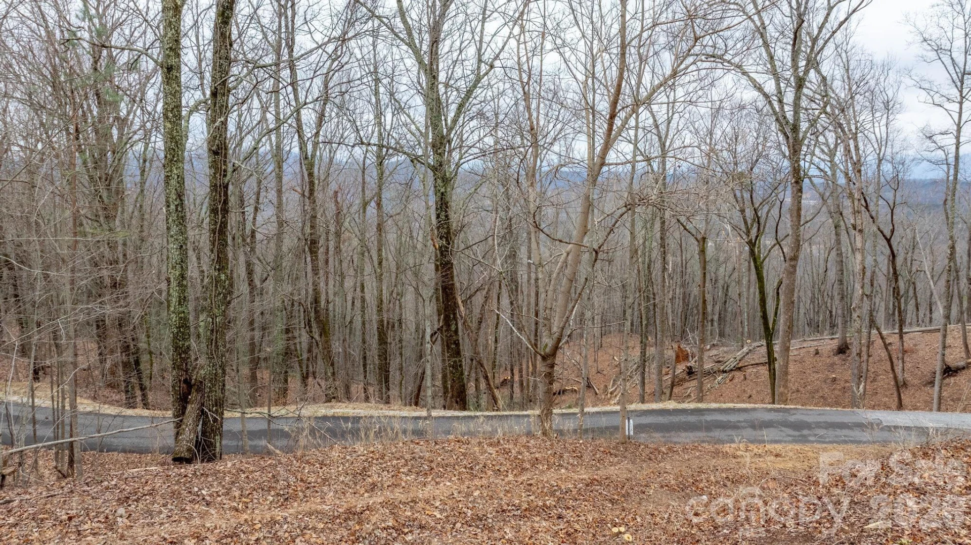 0 Mountain Crest Drive S #40 - Photo 12