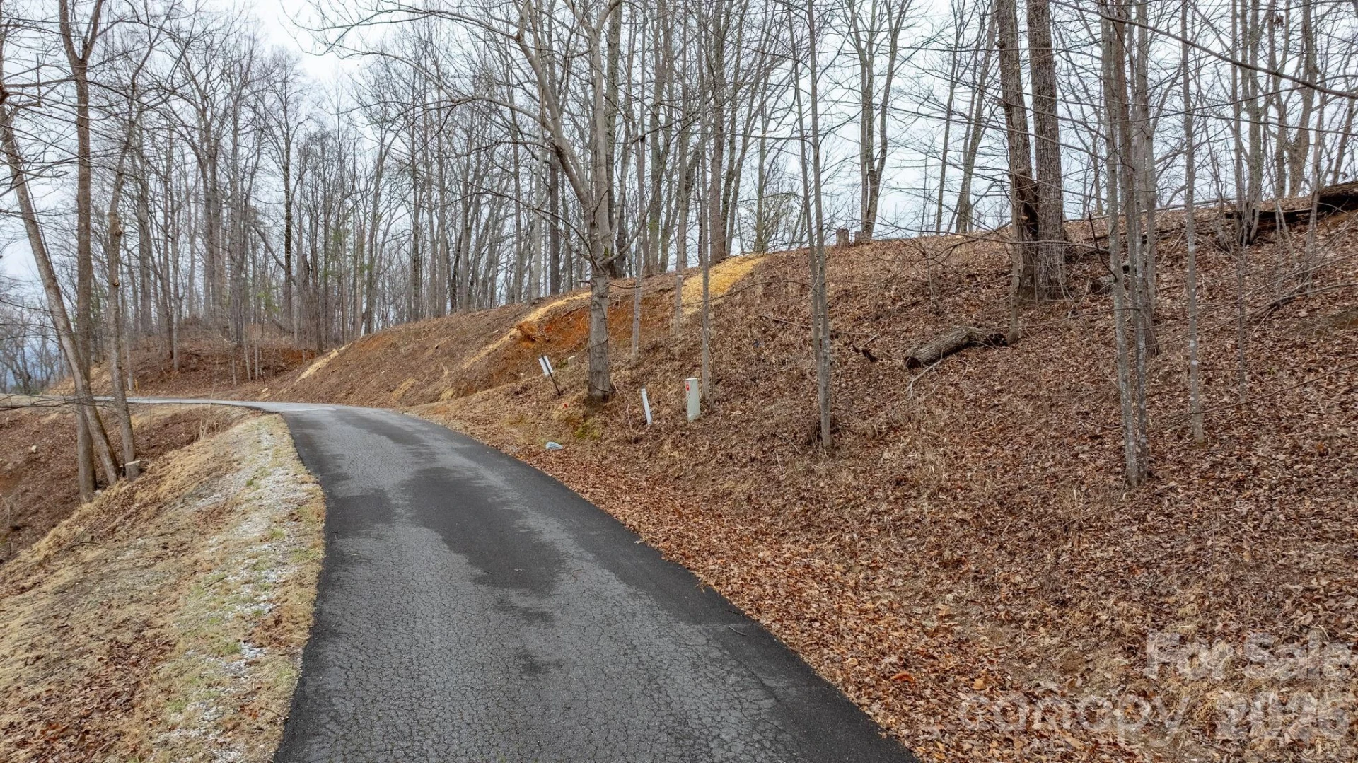 0 Mountain Crest Drive S #40 - Photo 4