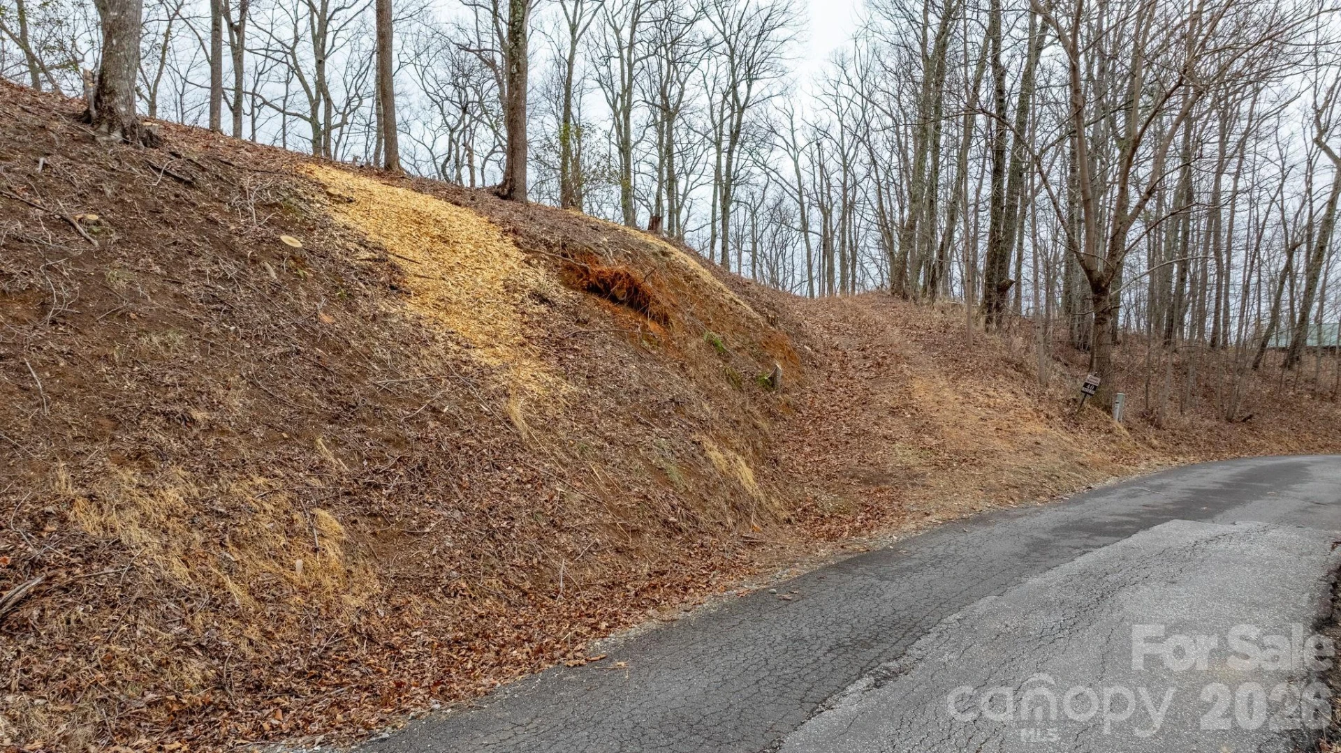 0 Mountain Crest Drive S #40 - Photo 6