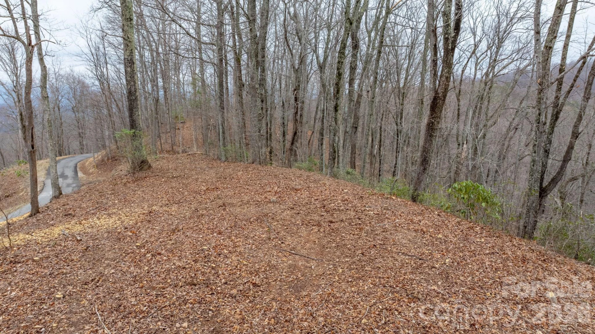 0 Mountain Crest Drive S #40 - Photo 9