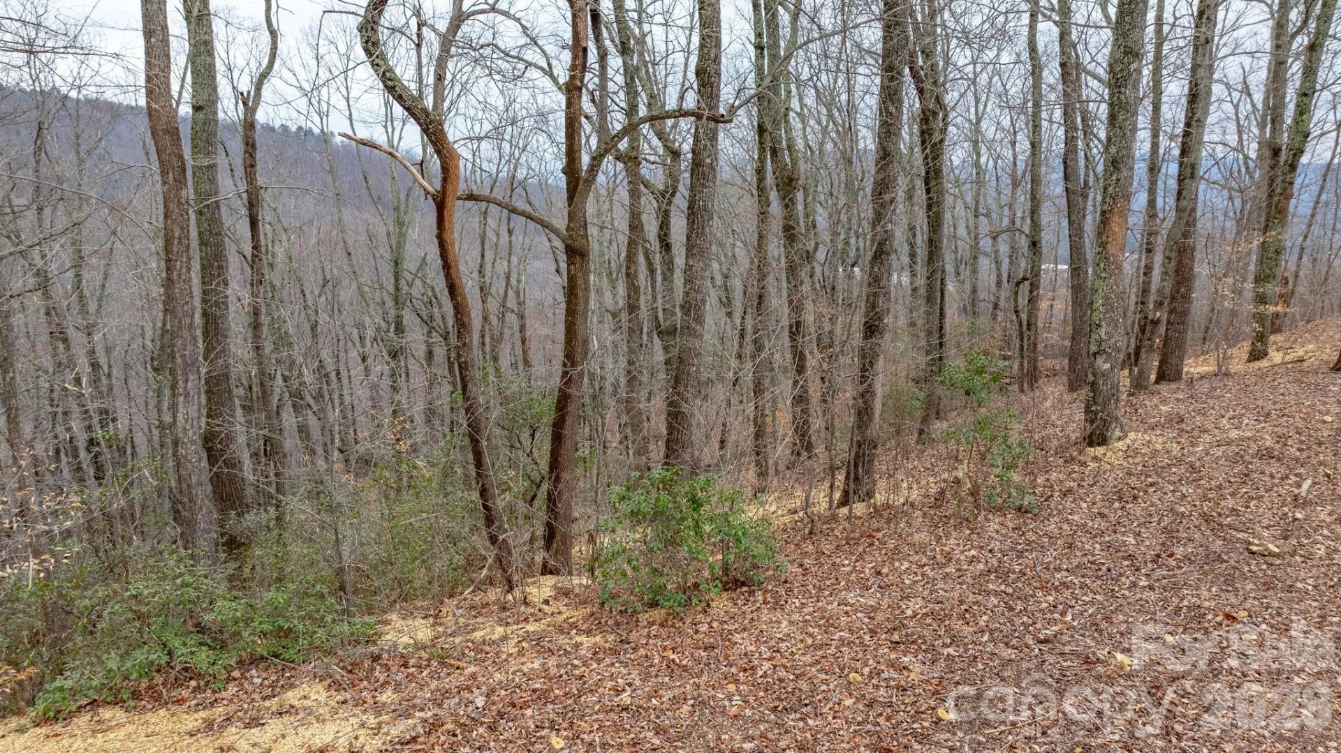 0 Mountain Crest Drive S #40 - Photo 10