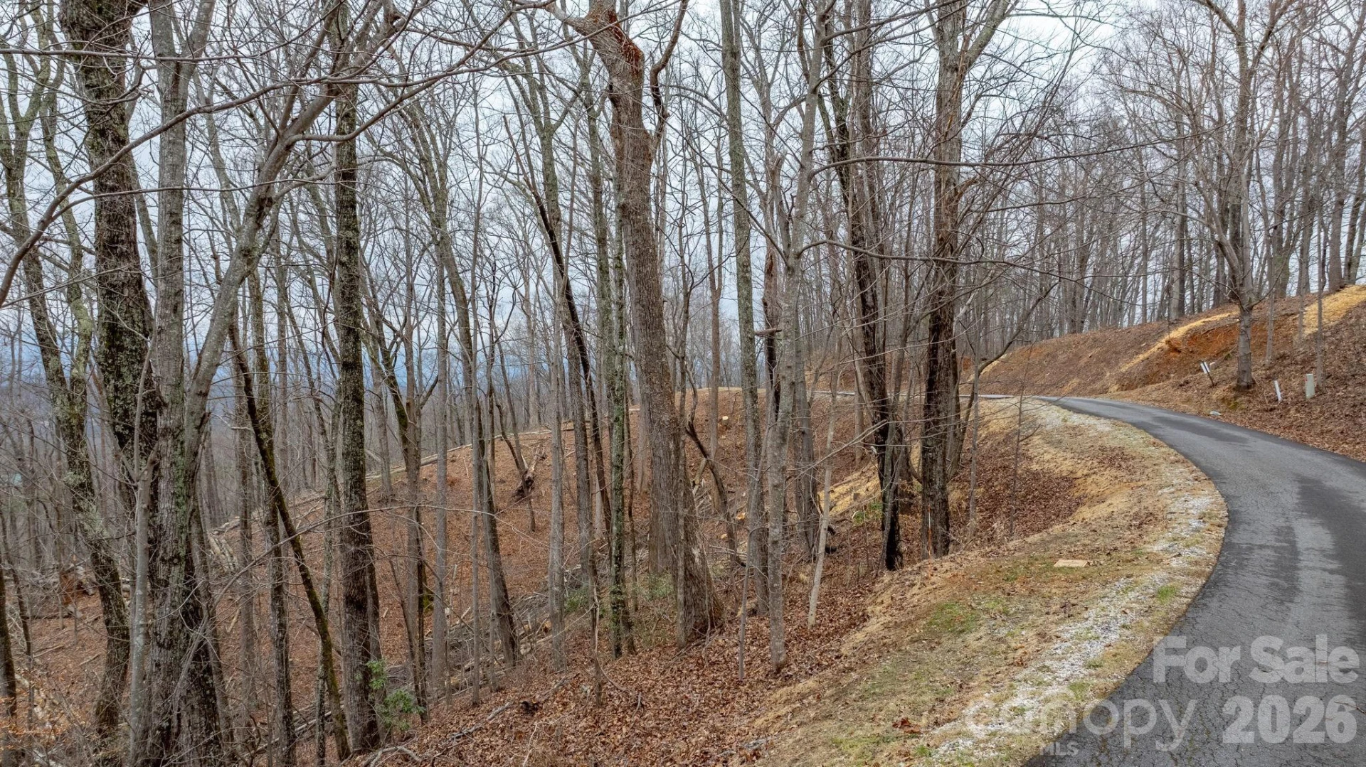0 Mountain Crest Drive S #39 - Photo 2