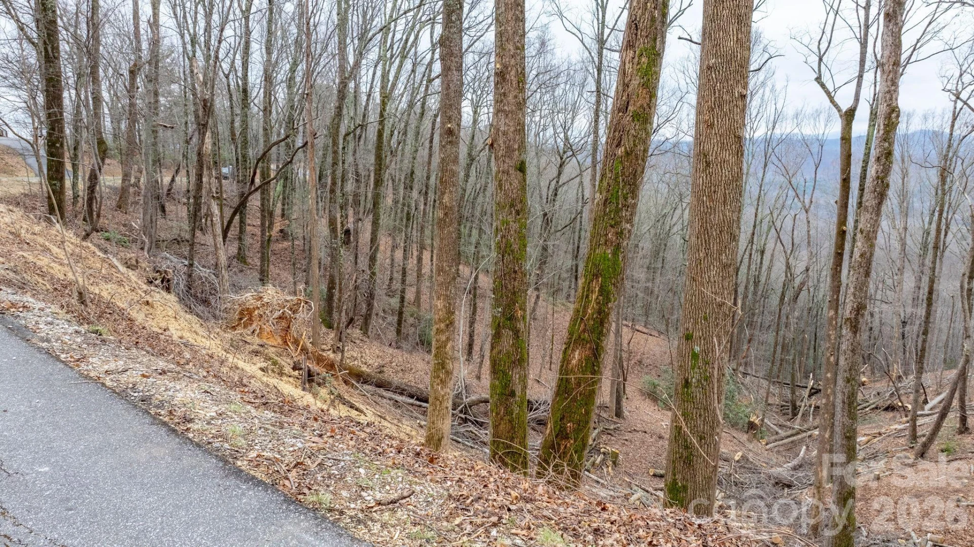 0 Mountain Crest Drive S #39 - Photo 11