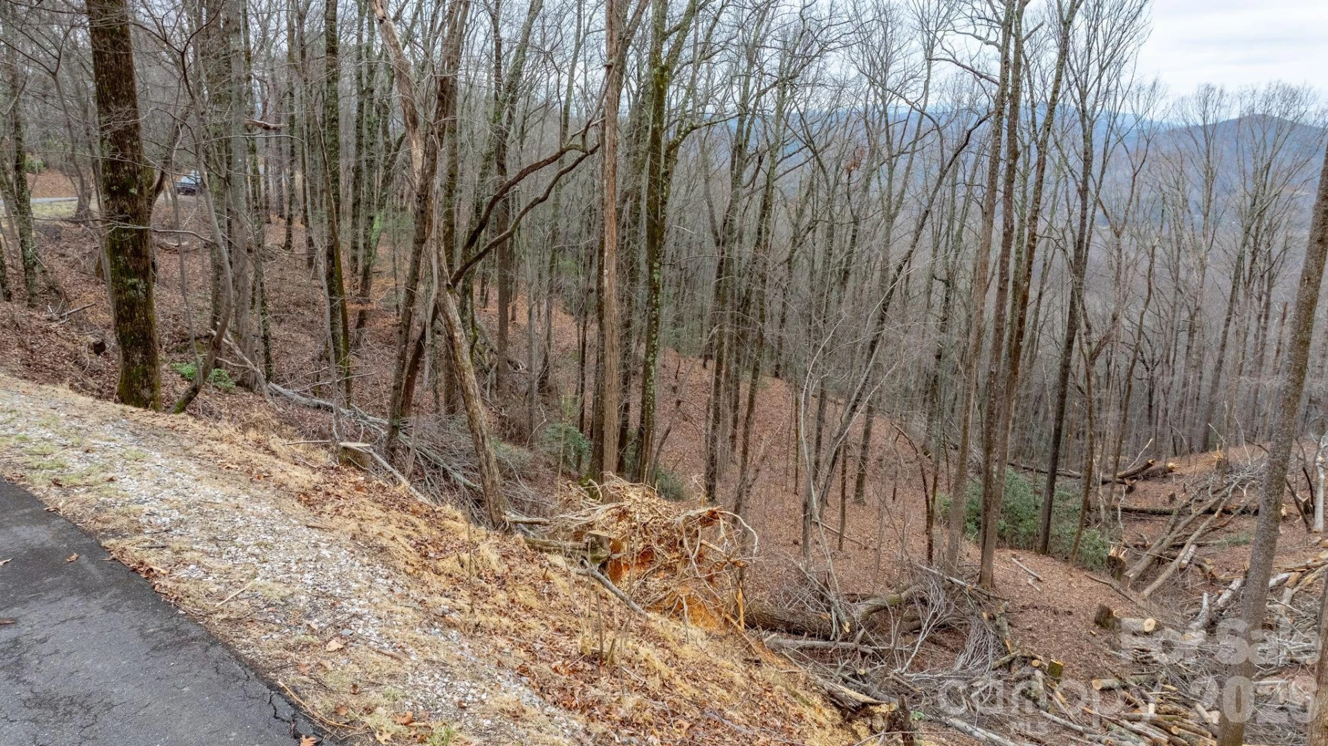 0 Mountain Crest Drive S #39 - Photo 12