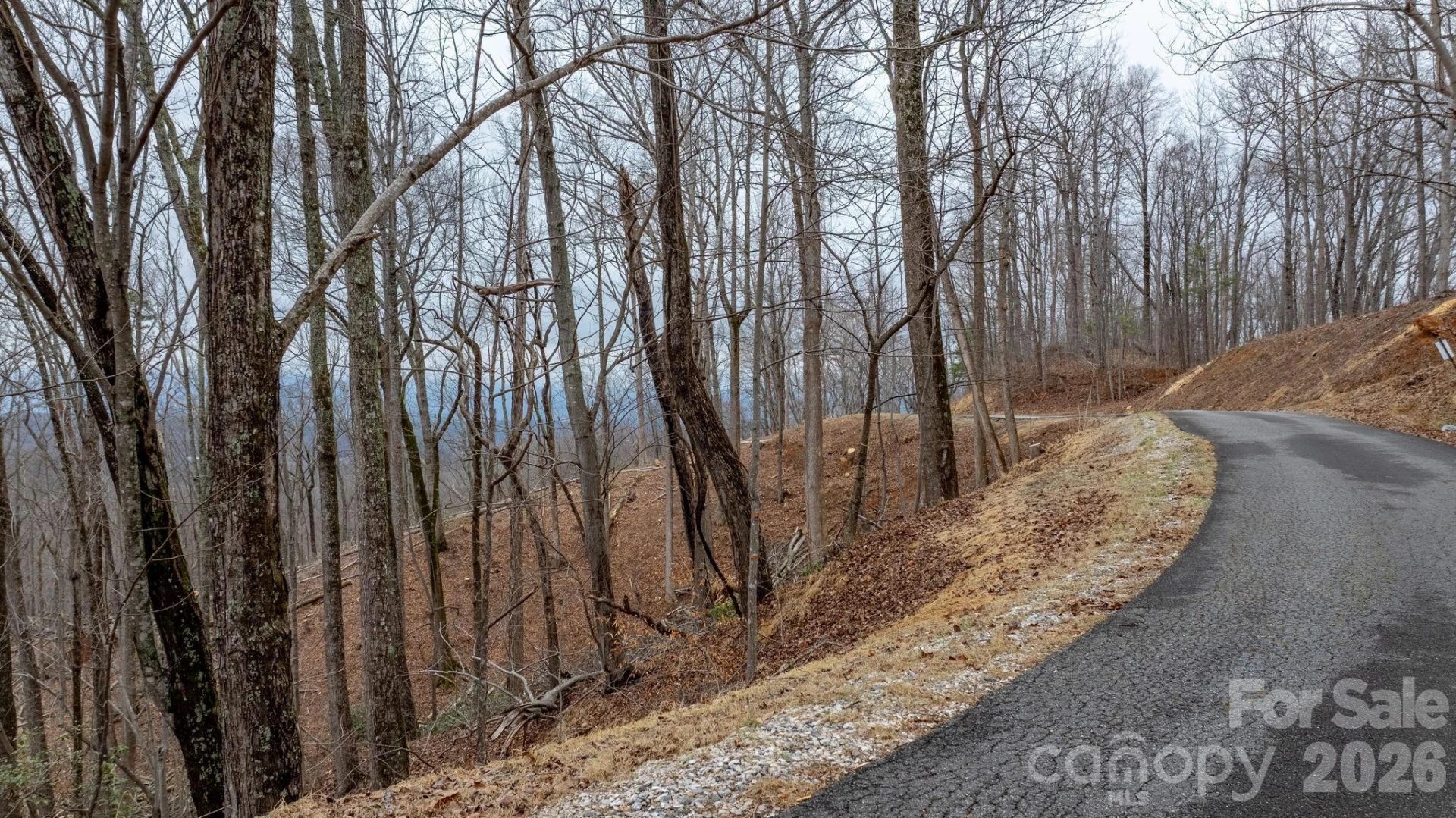 0 Mountain Crest Drive S #39 - Photo 3
