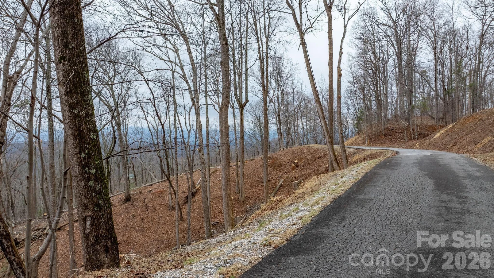 0 Mountain Crest Drive S #39 - Photo 4