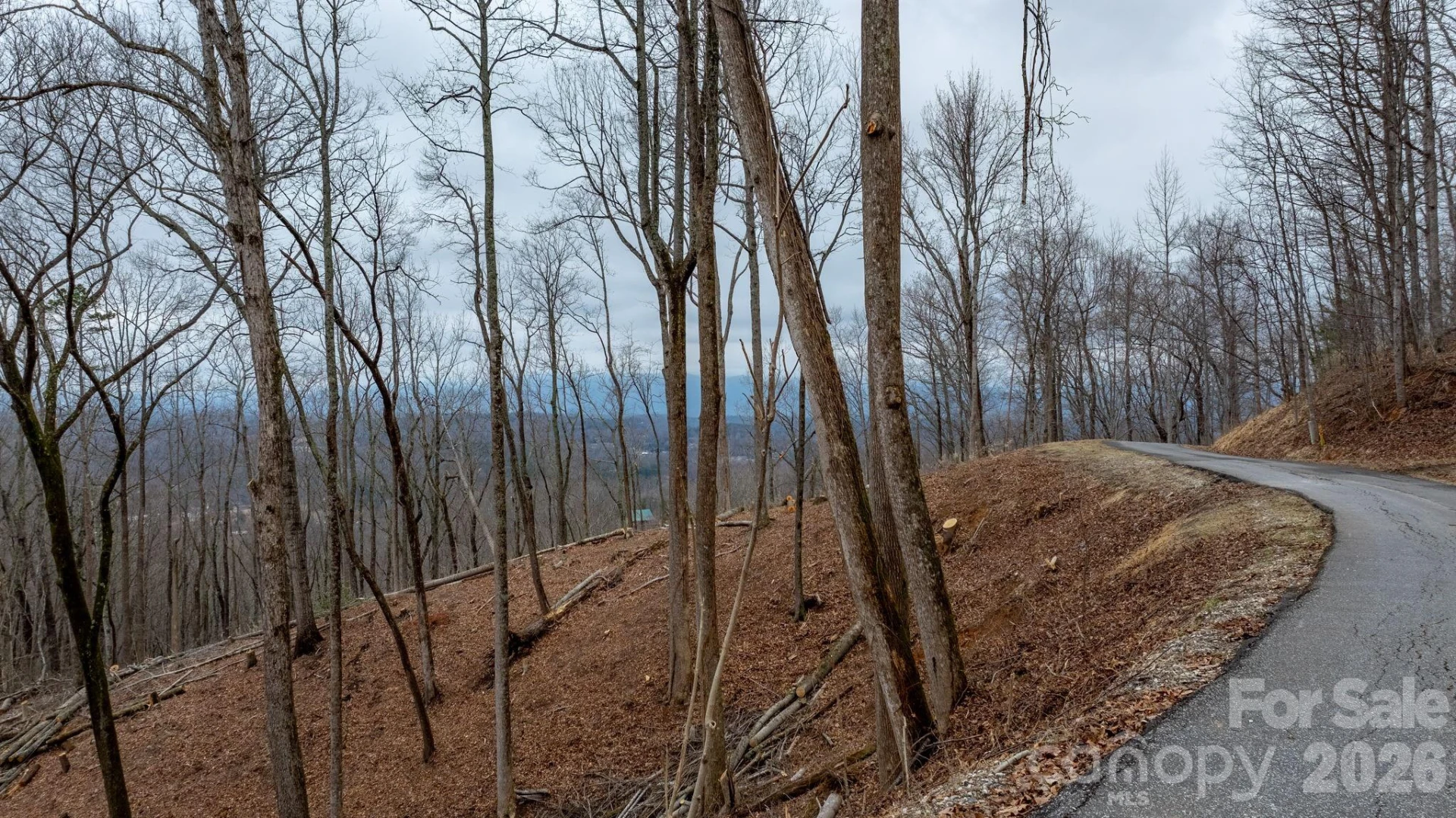 0 Mountain Crest Drive S #39 - Photo 5