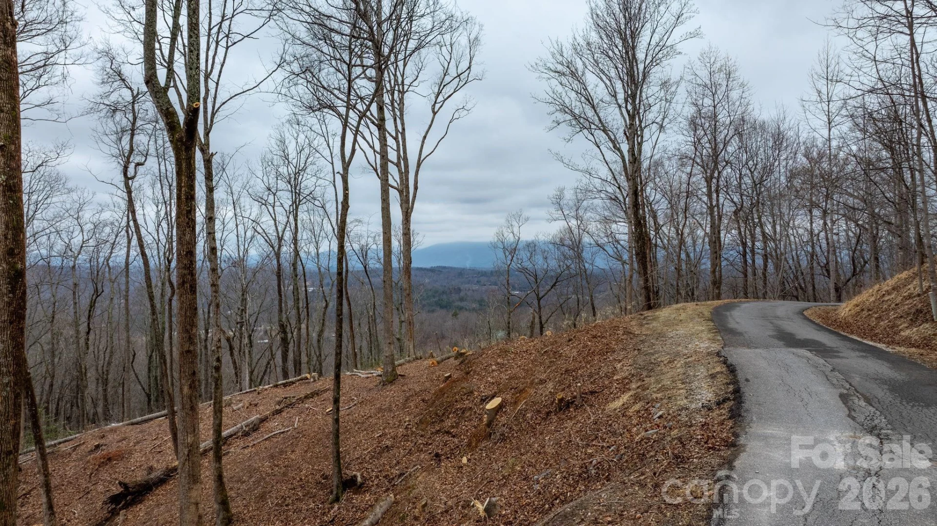 0 Mountain Crest Drive S #39 - Photo 6