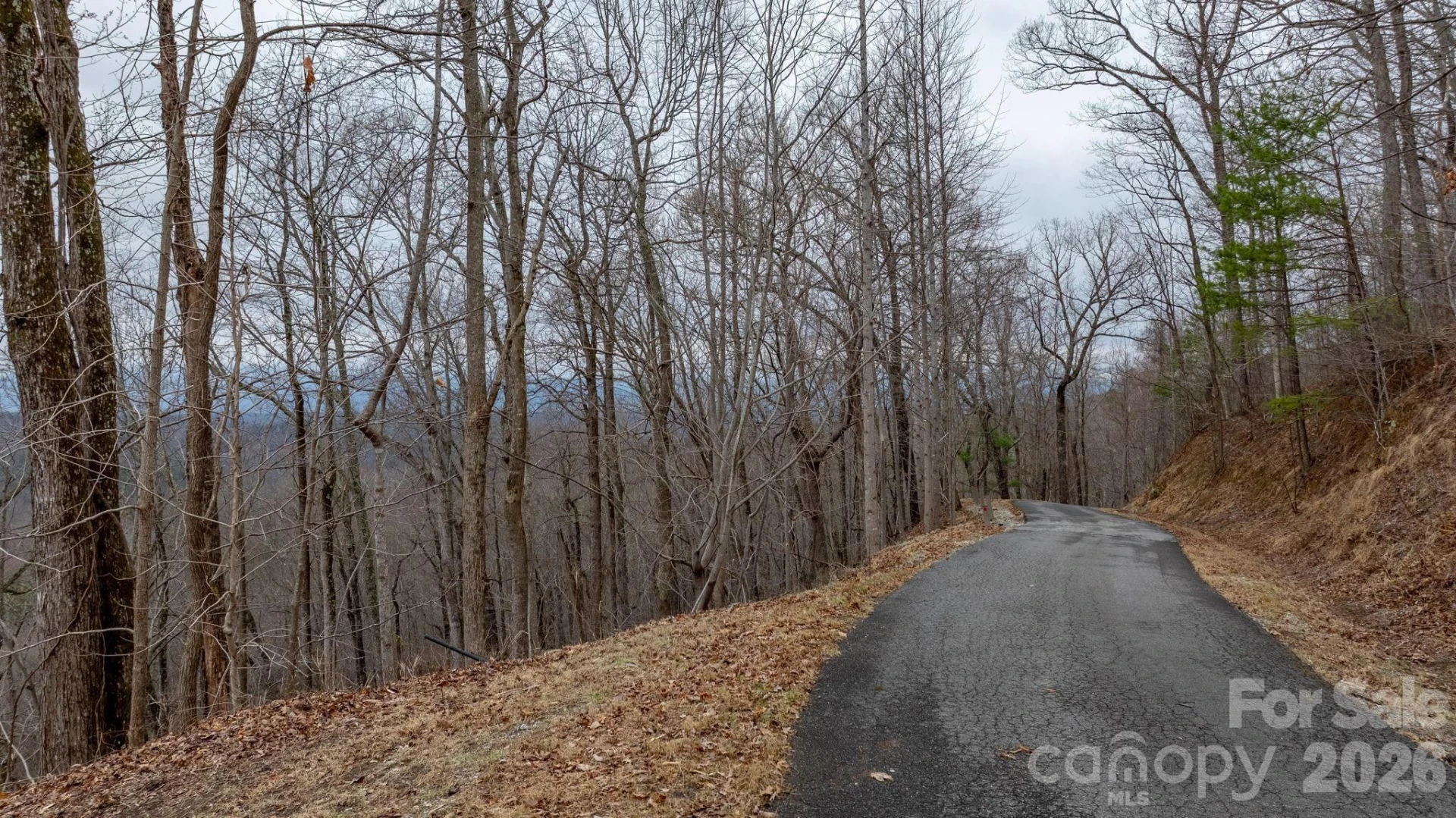 0 Mountain Crest Drive S #39 - Photo 7