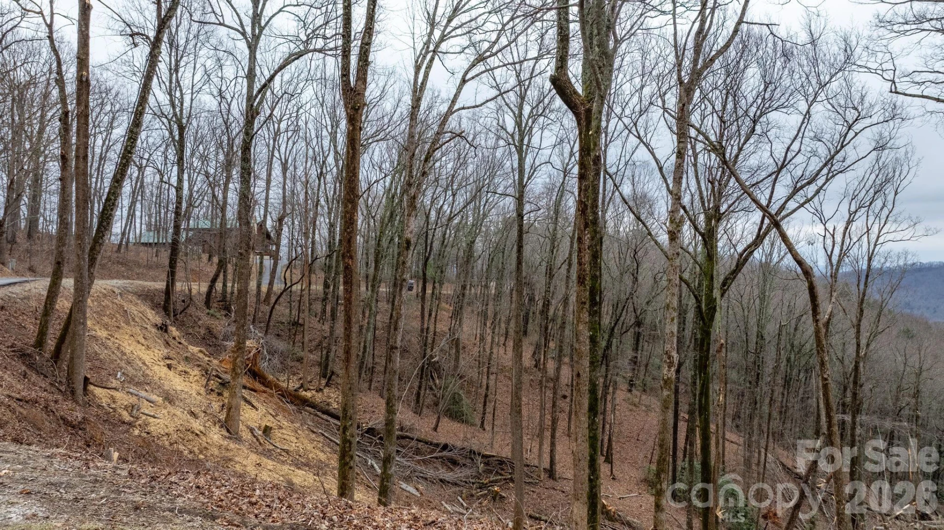 0 Mountain Crest Drive S #39 - Photo 9