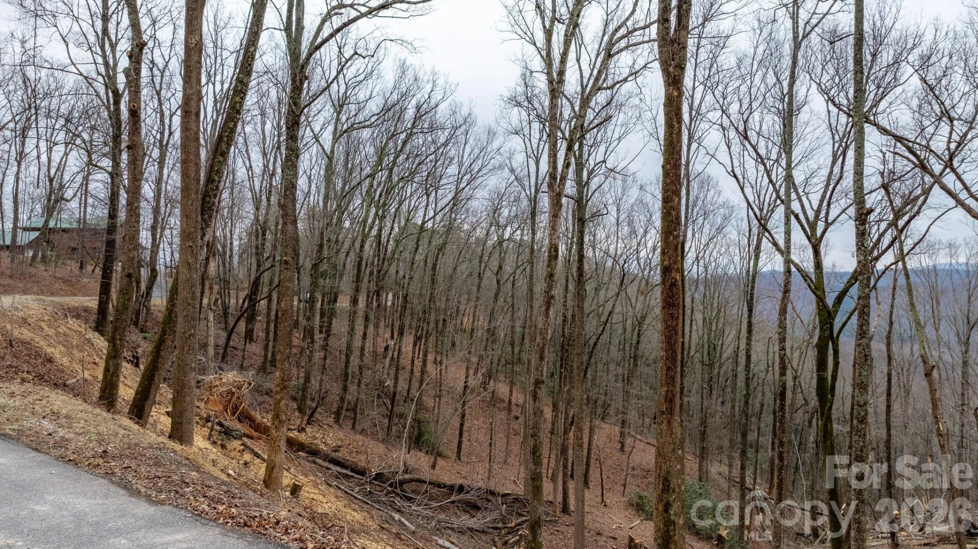 0 Mountain Crest Drive S #39 - Photo 10