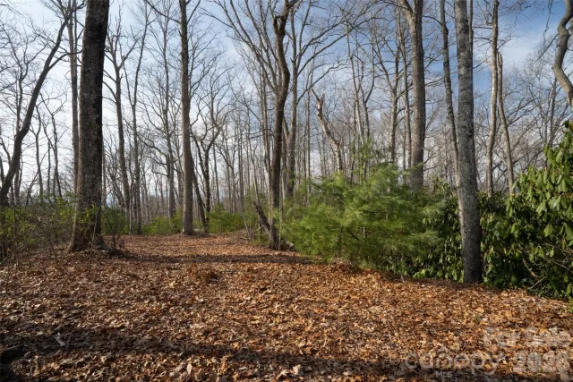 29 Open Ridge Trail