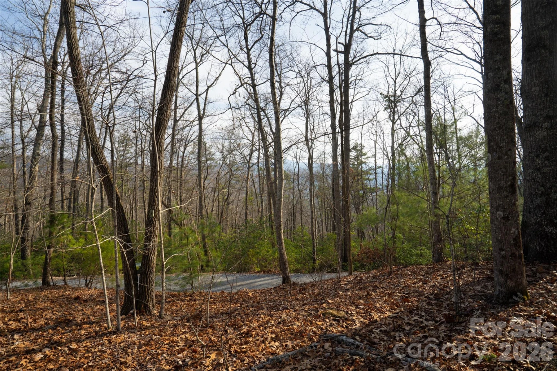29 Open Ridge Trail - Photo 3
