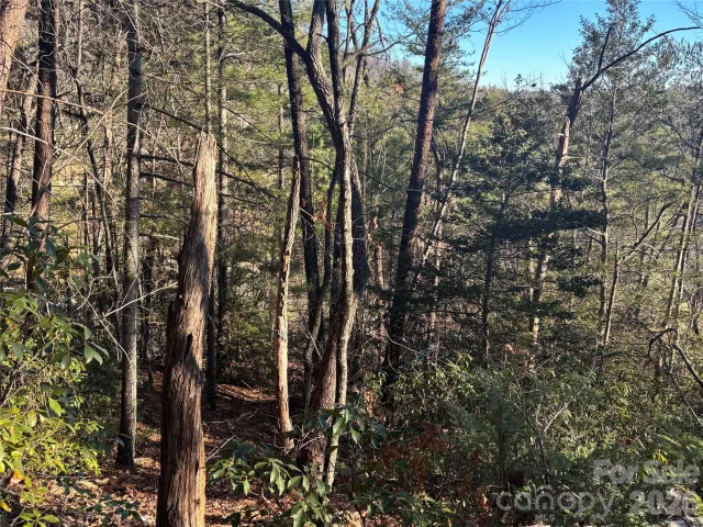 Lot 20 Nicklaus Lane