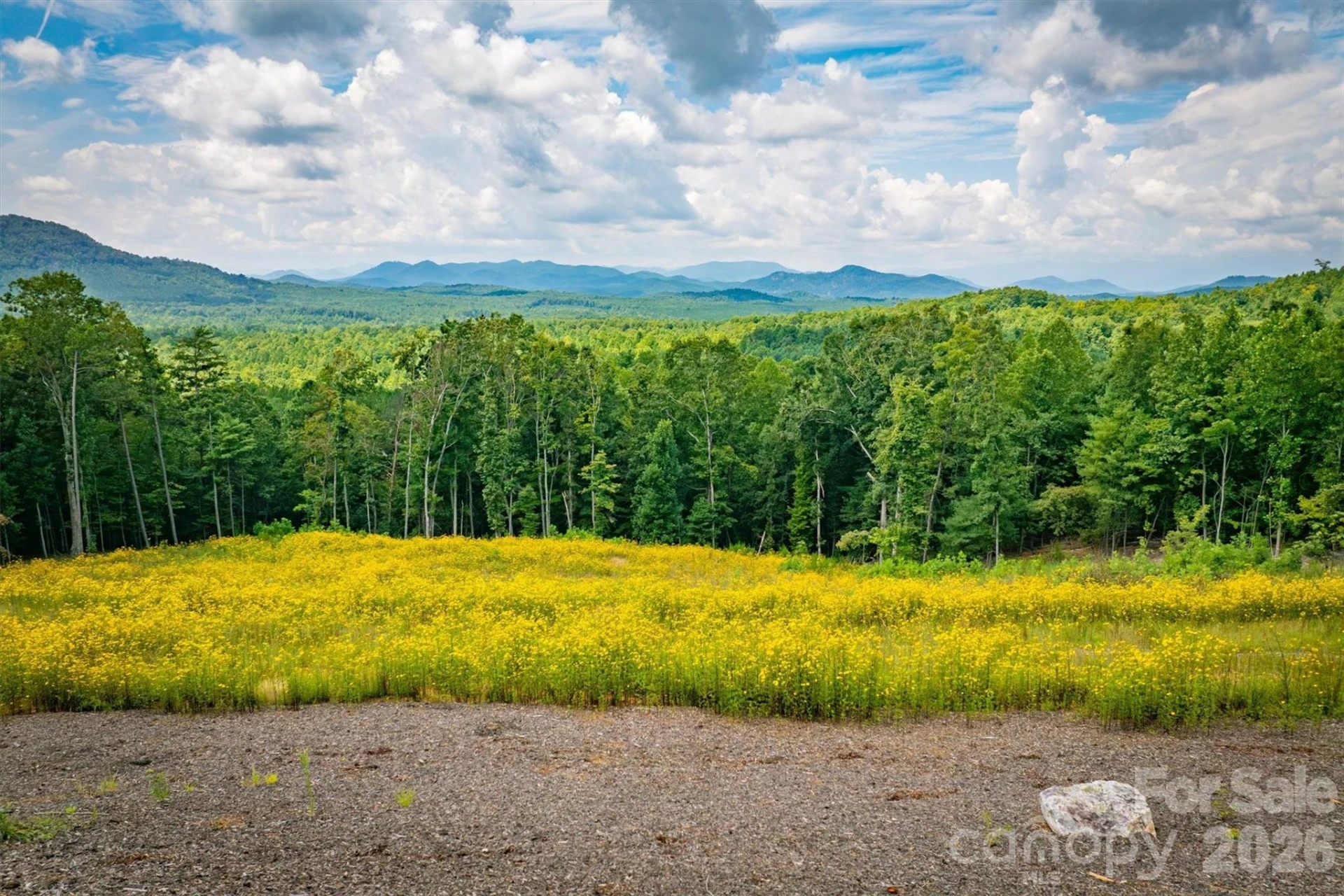 463 Summit Trail - Photo 8