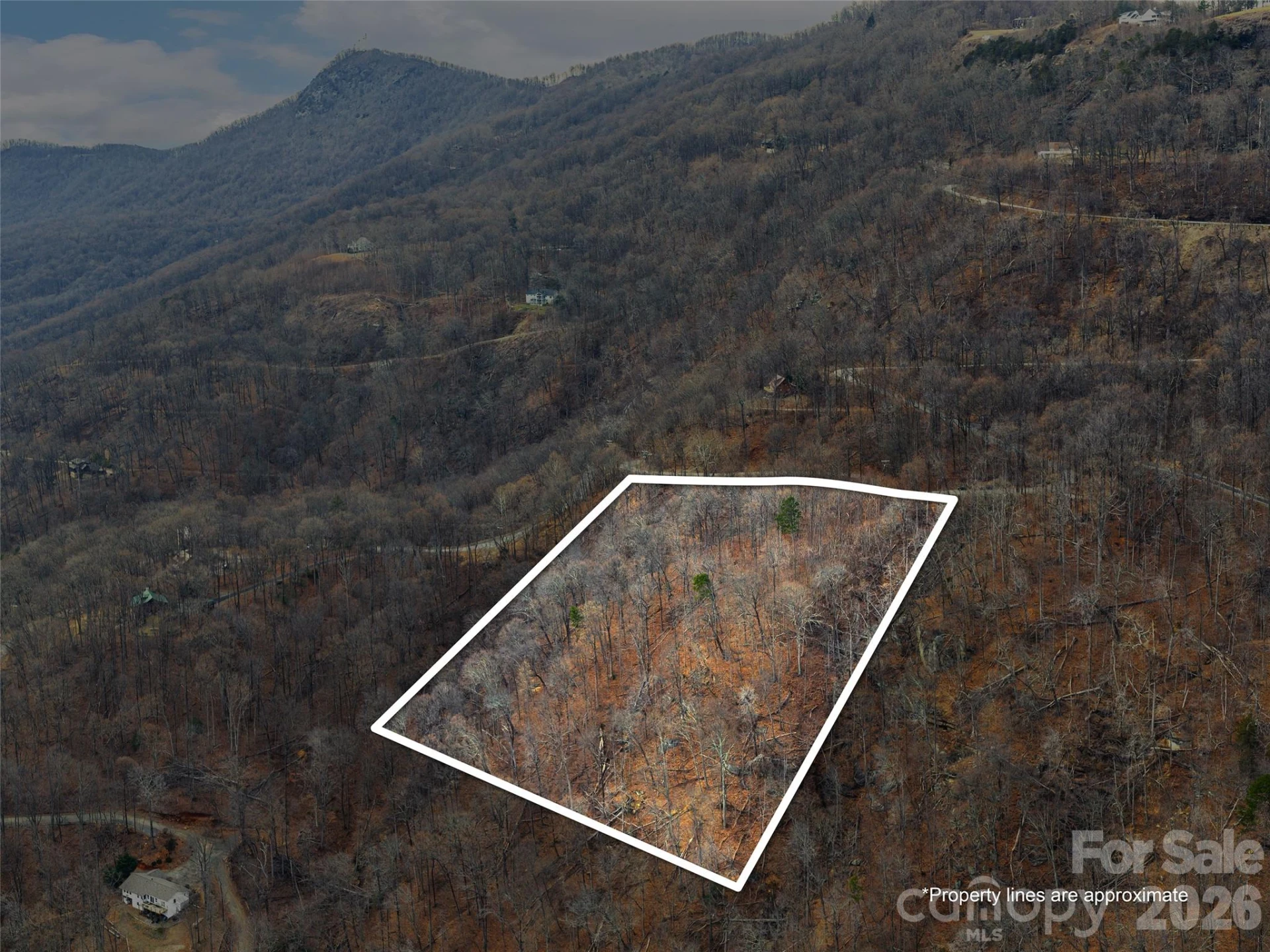 Lot 56 White Oak Mountain Road #56 - Photo 5