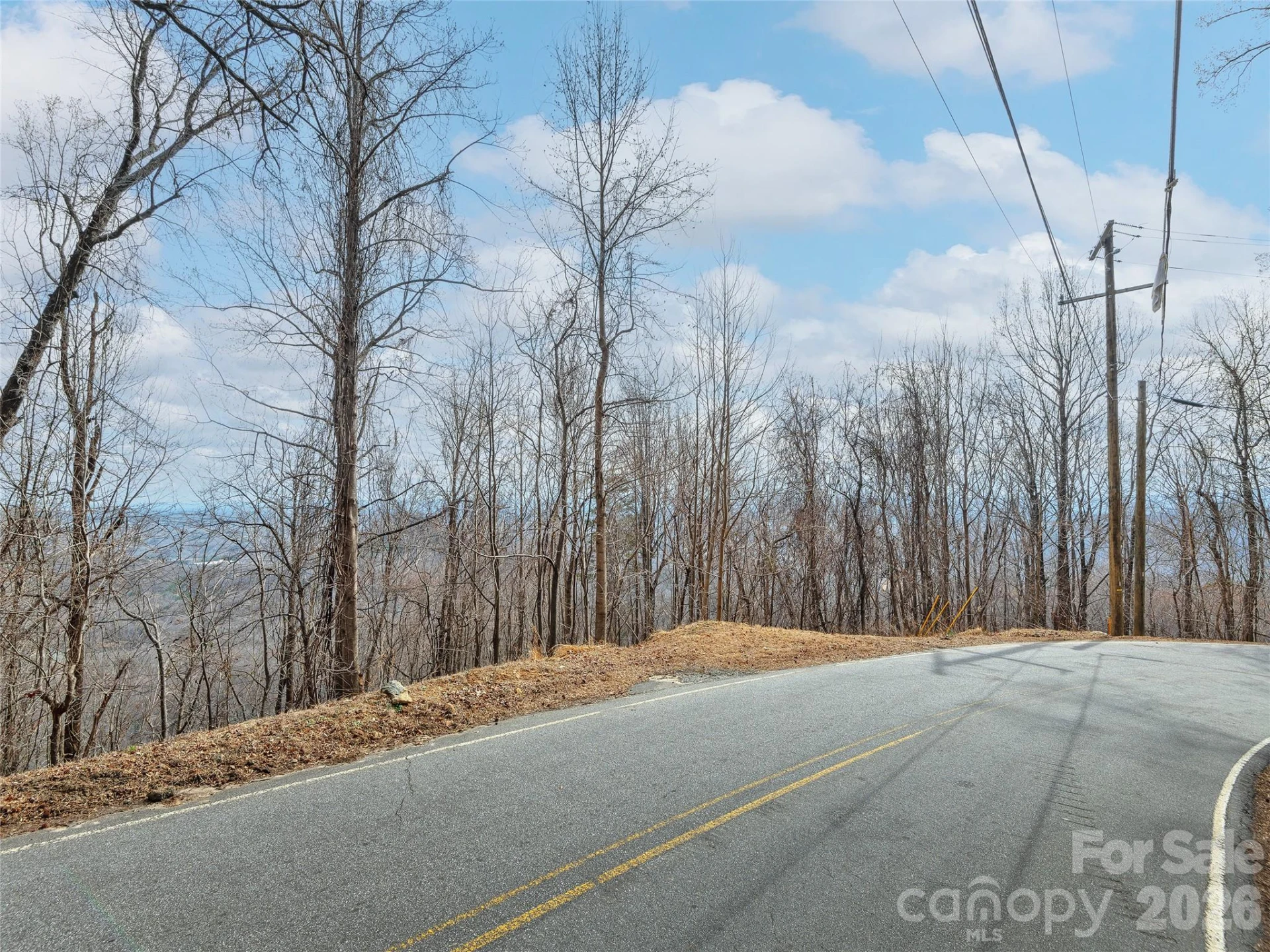 Lot 56 White Oak Mountain Road #56 - Photo 10