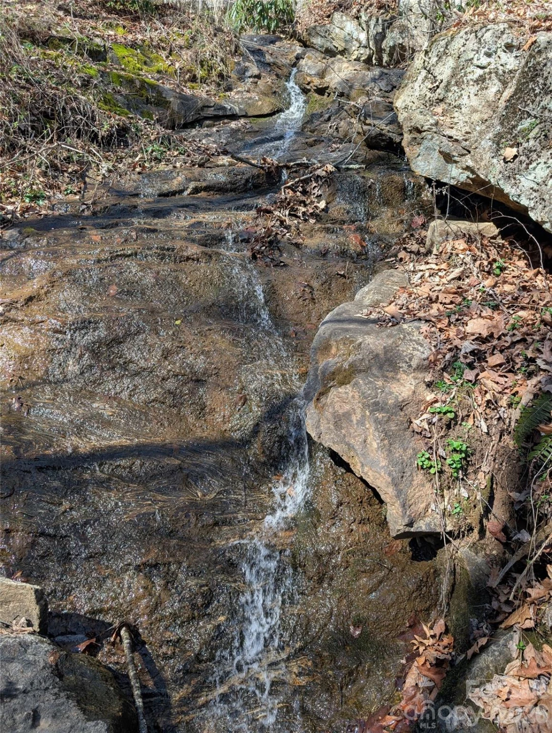 00 Bear Wallow Trail